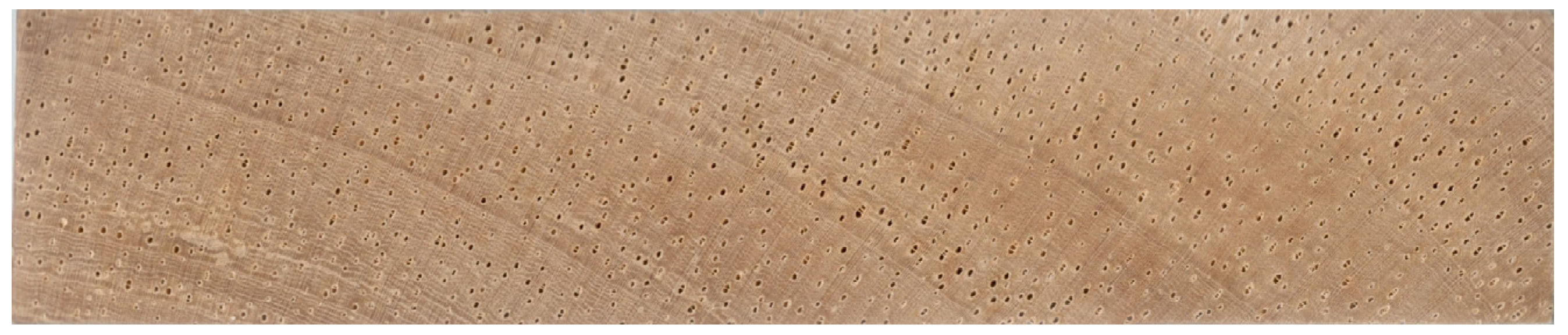Forests 15 00556 g001