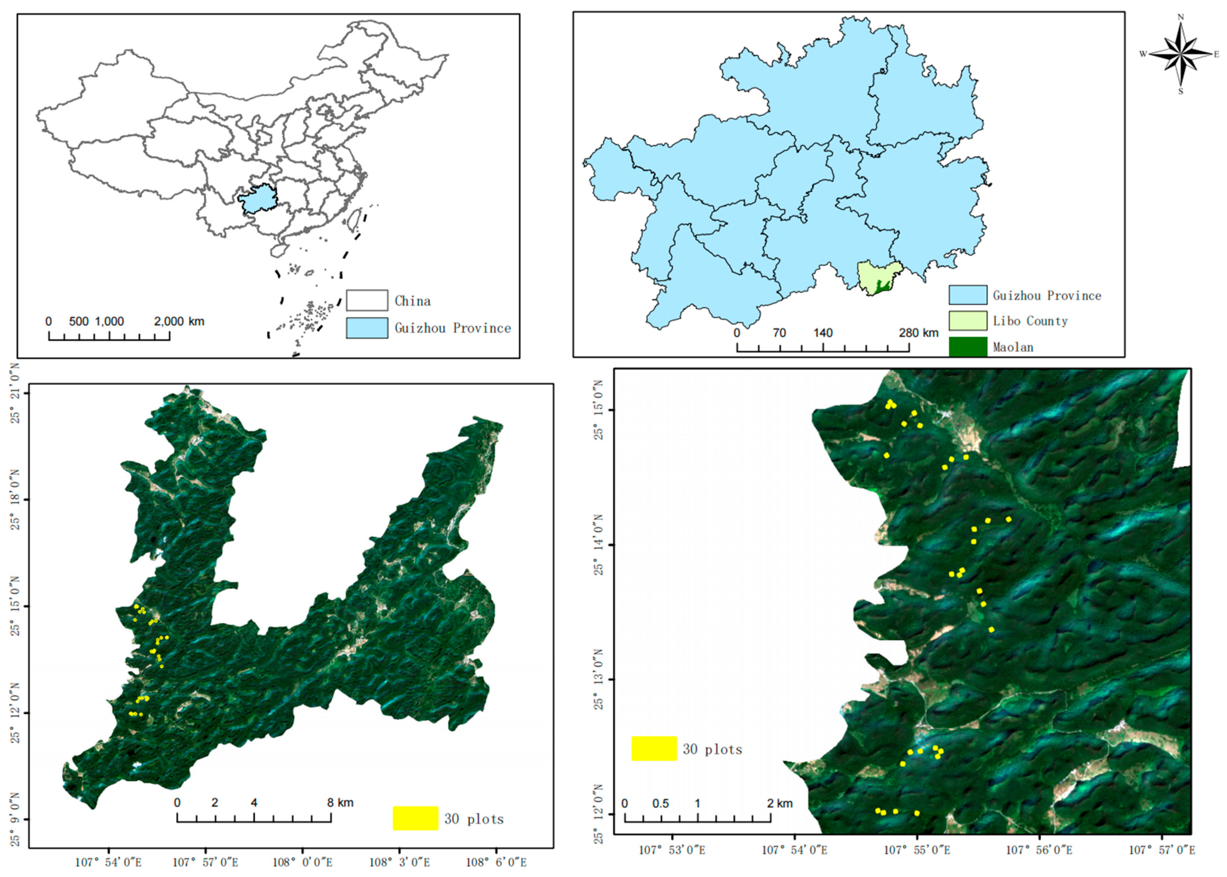 Forests 15 00559 g001