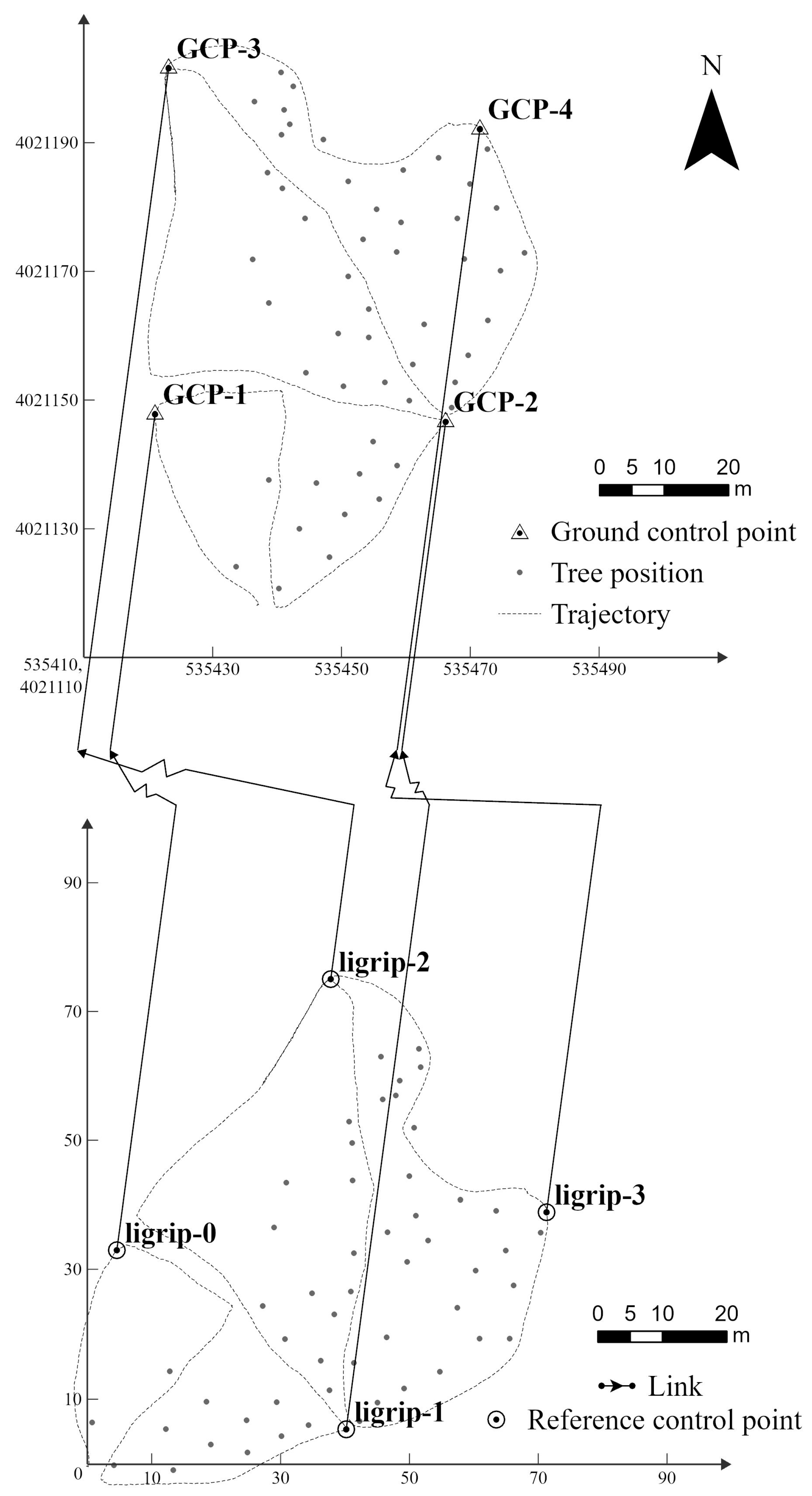 Forests 15 00575 g005