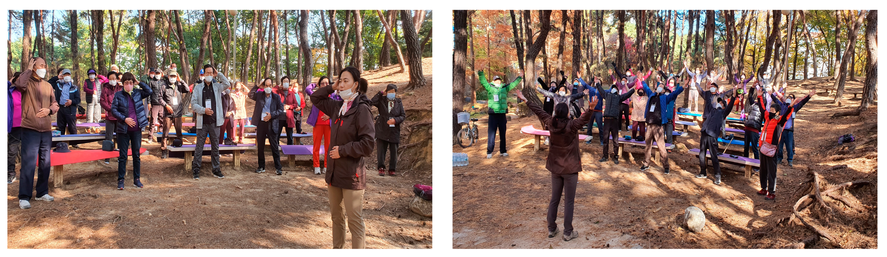 Forests 15 00577 g001