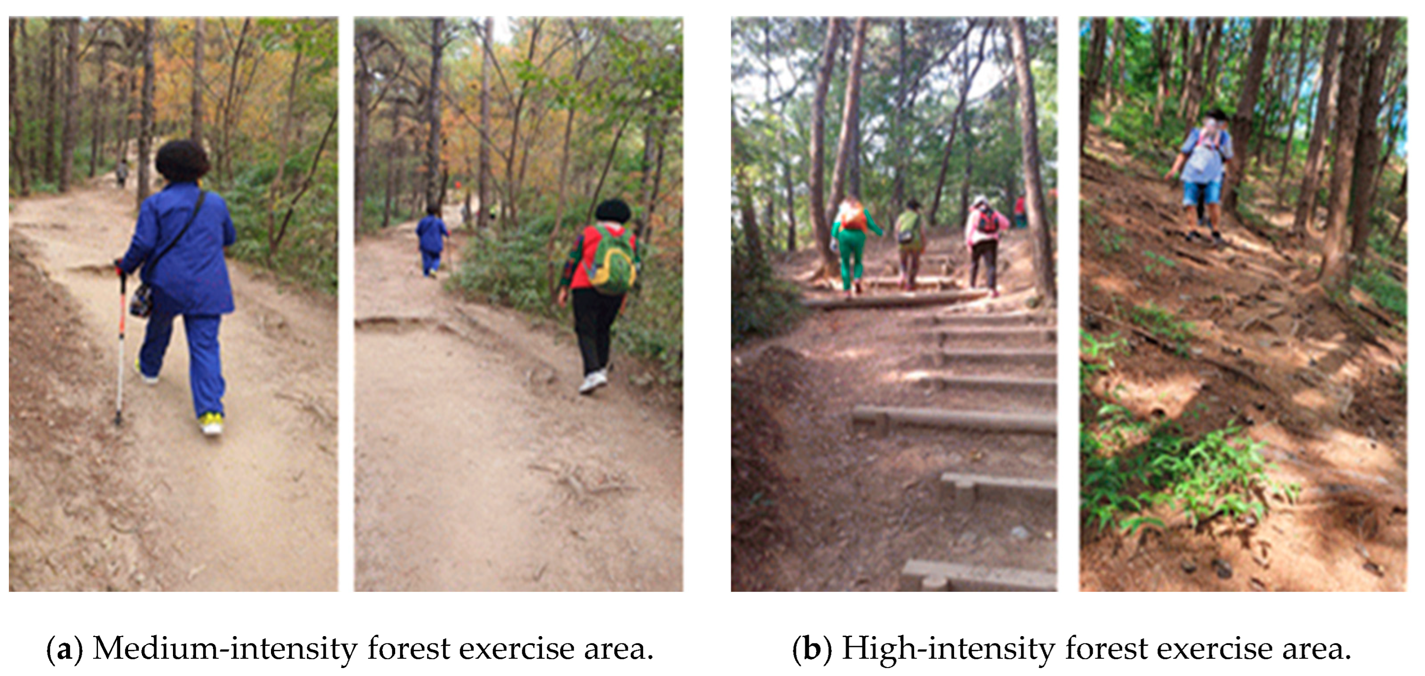 Forests 15 00577 g002