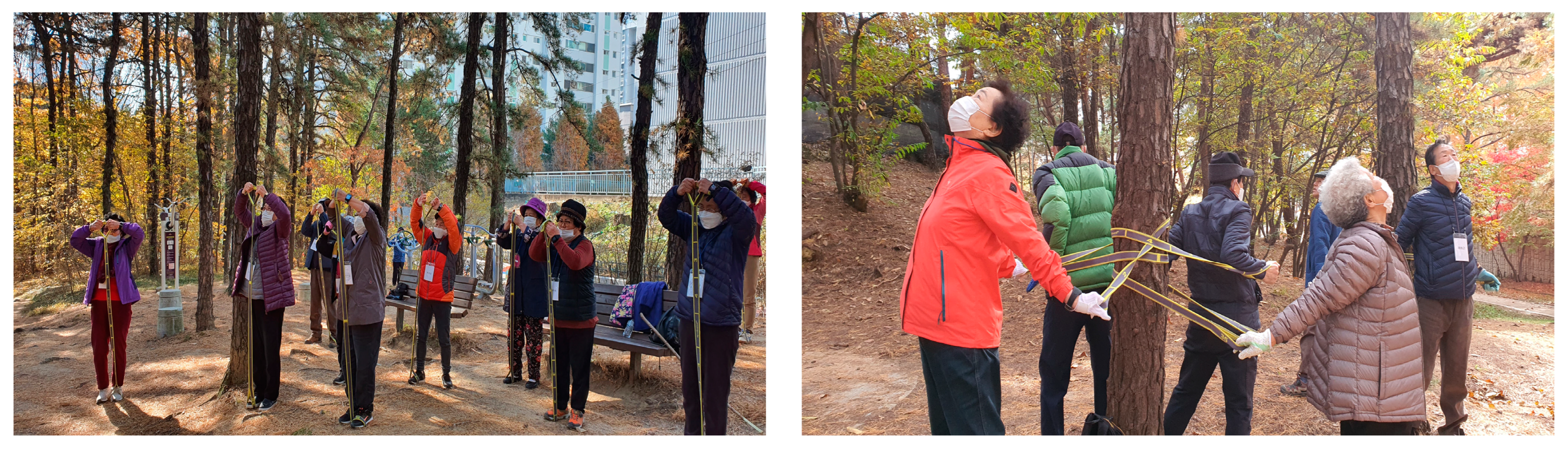 Forests 15 00577 g003