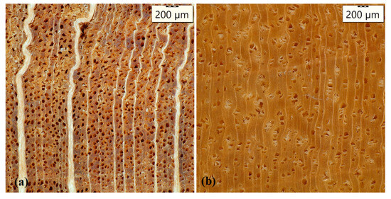 Forests 15 00584 g0a1