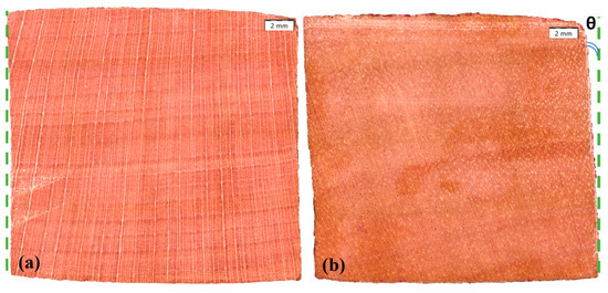 Forests 15 00584 g0a3