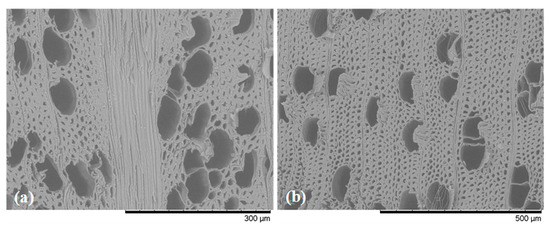 Forests 15 00584 g0a4