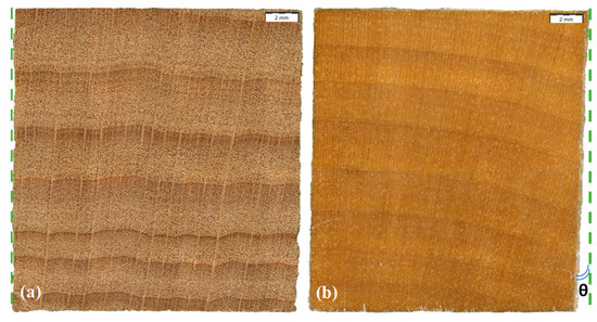 Forests 15 00584 g0a5