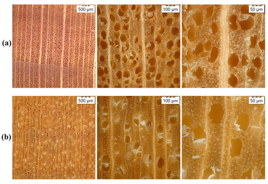 Forests 15 00584 g0a6