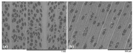 Forests 15 00584 g0a7