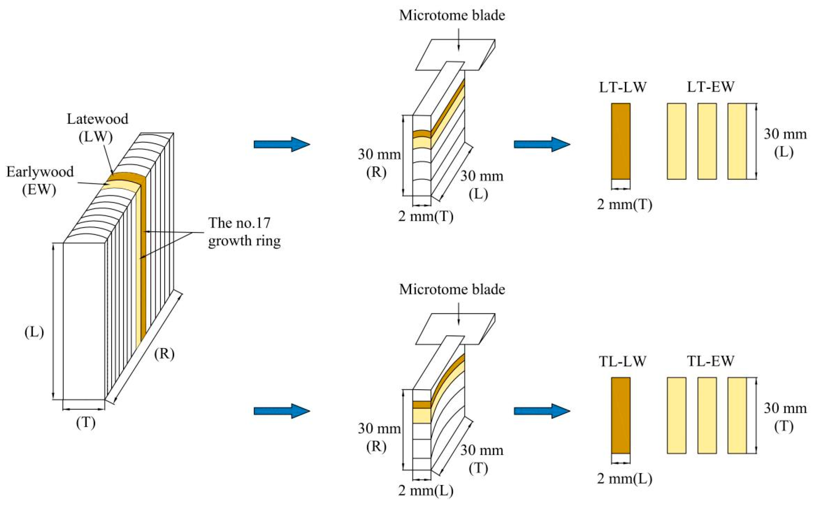 Forests 15 00589 g001 Forests 15 00589 g001