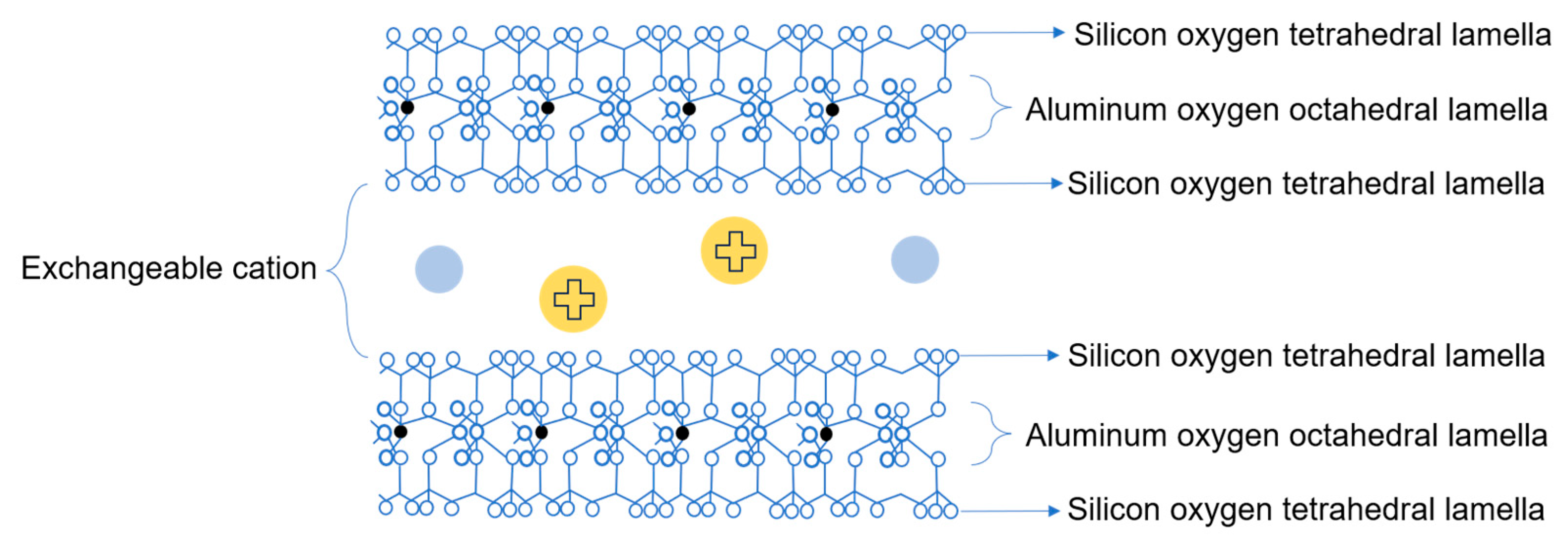 Forests 15 00604 g002