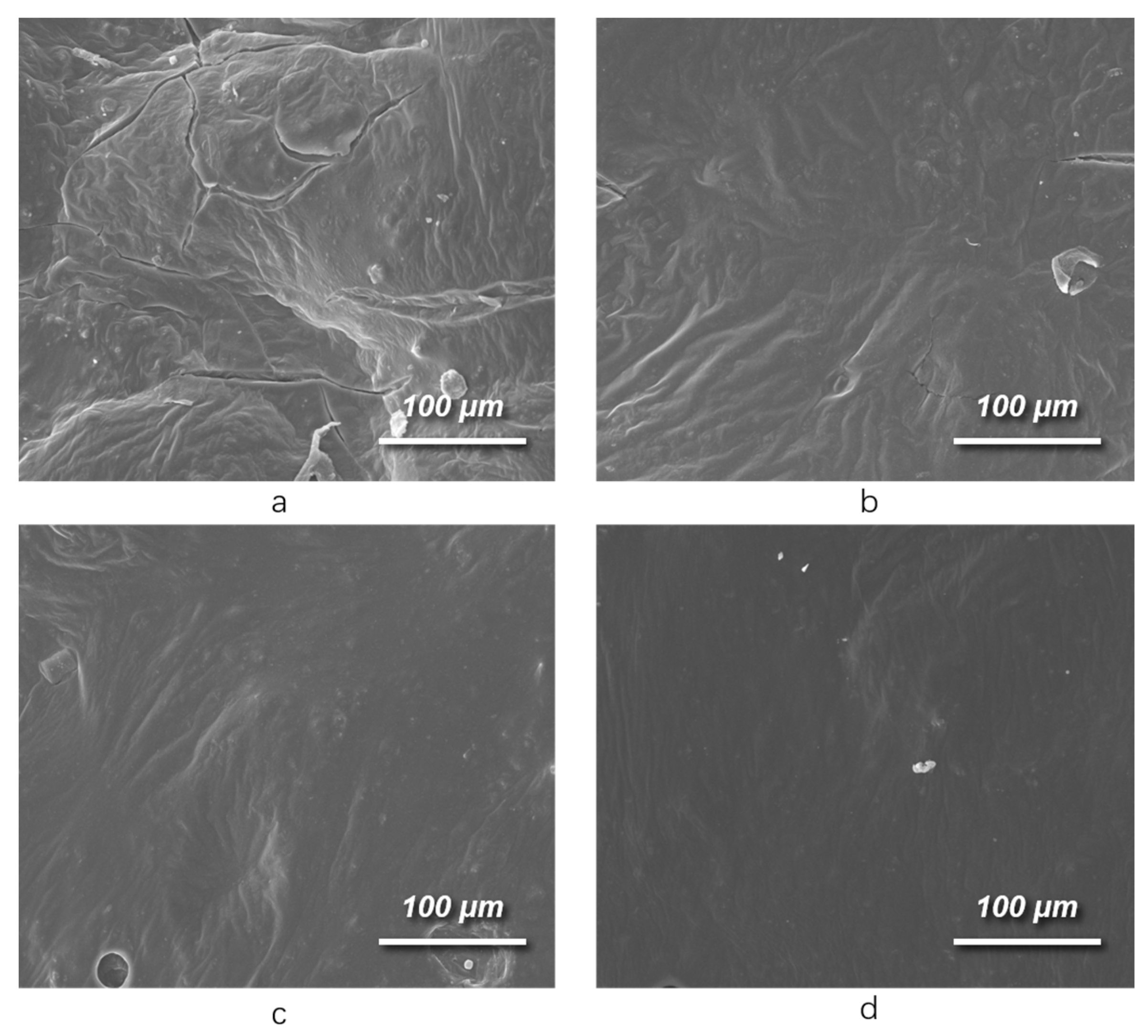 Forests 15 00604 g006
