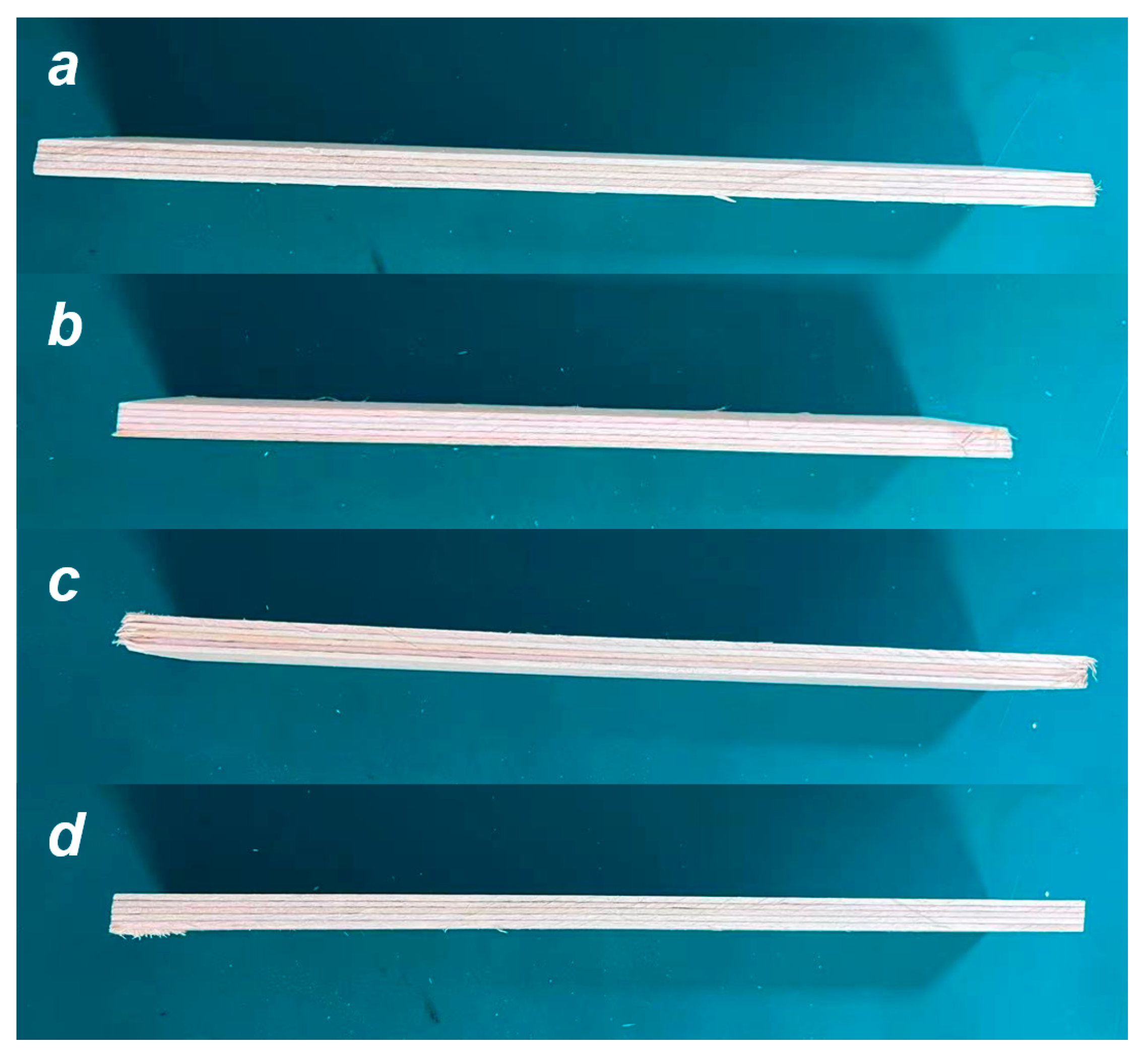 Forests 15 00604 g011