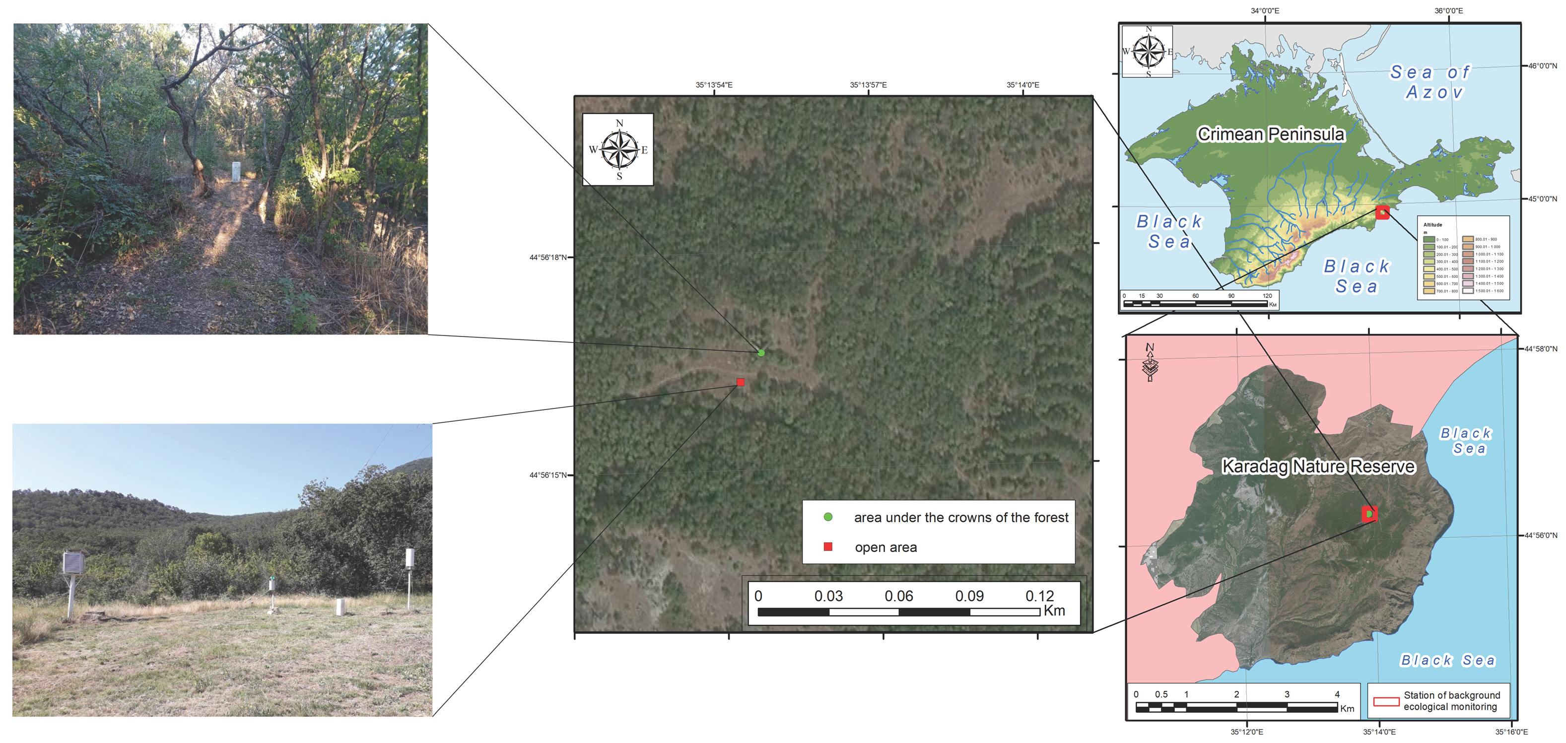 Forests 15 00612 g001