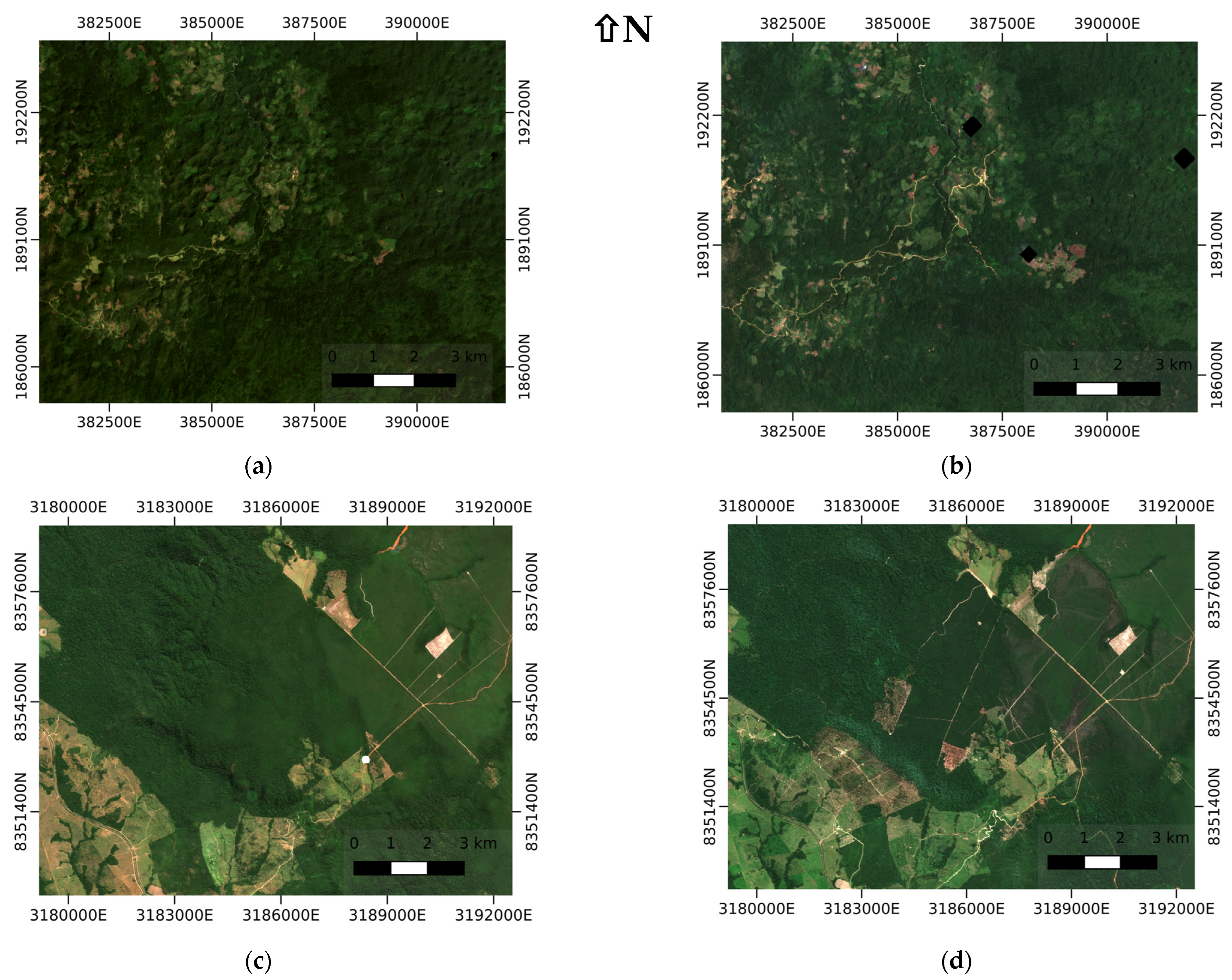 Forests 15 00617 g005 Forests 15 00617 g005