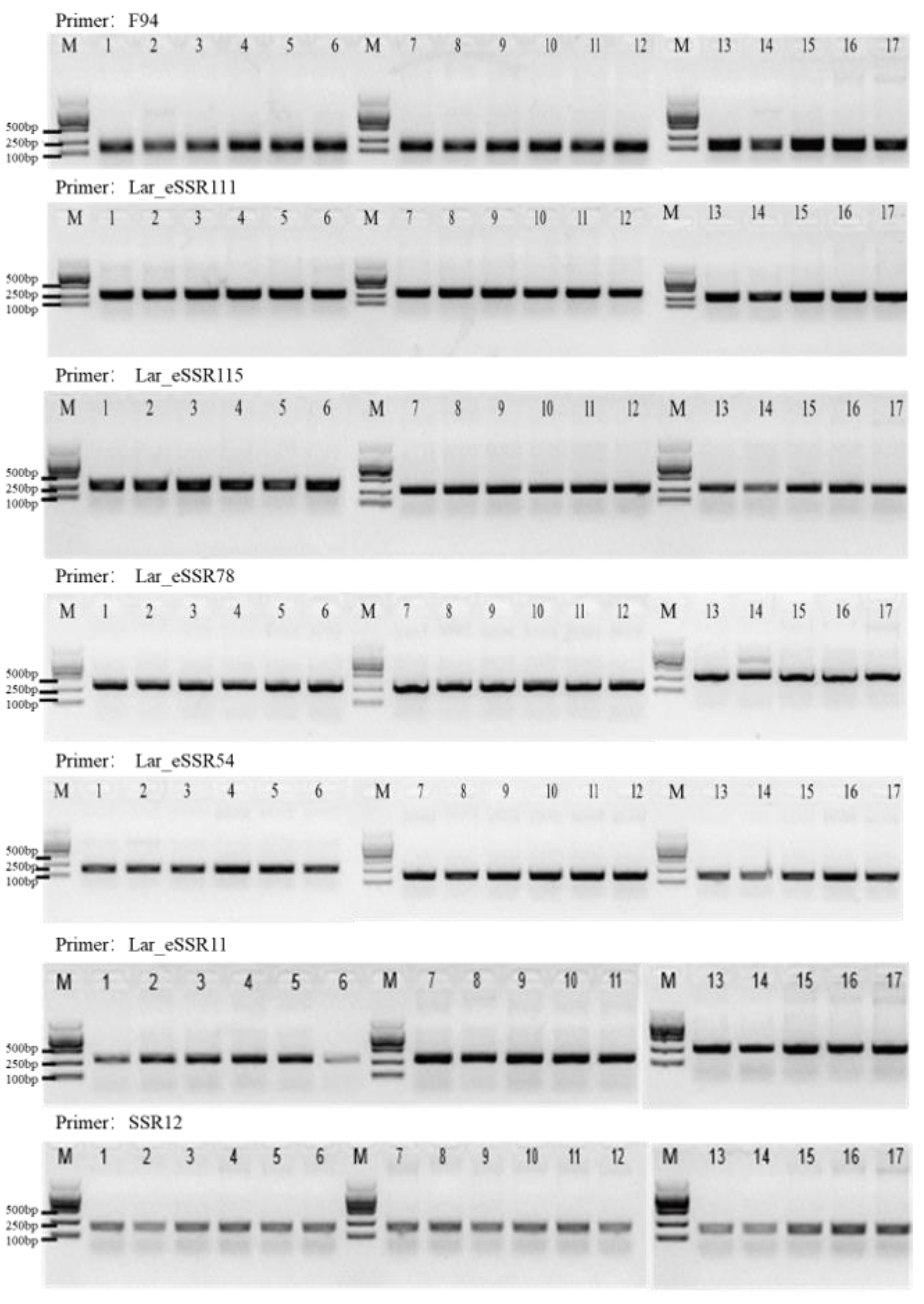 Forests 15 00627 g005
