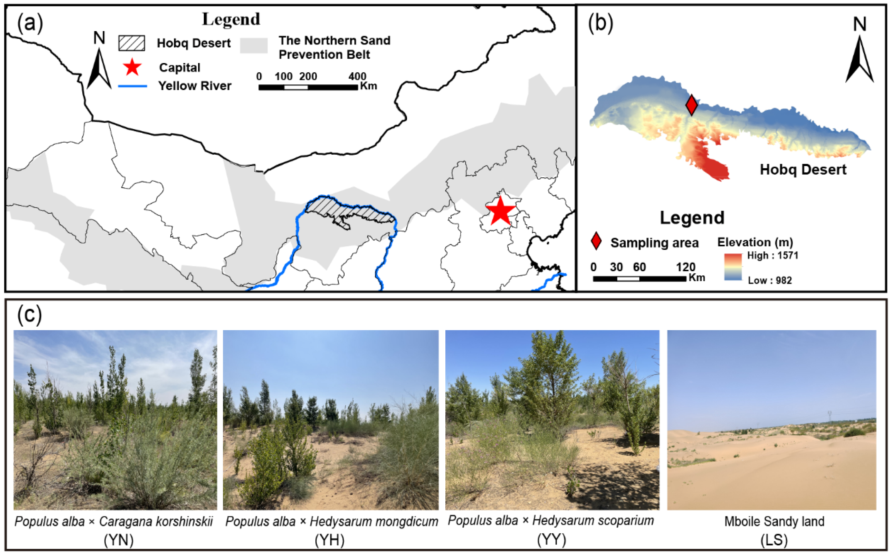 Forests 15 00632 g001