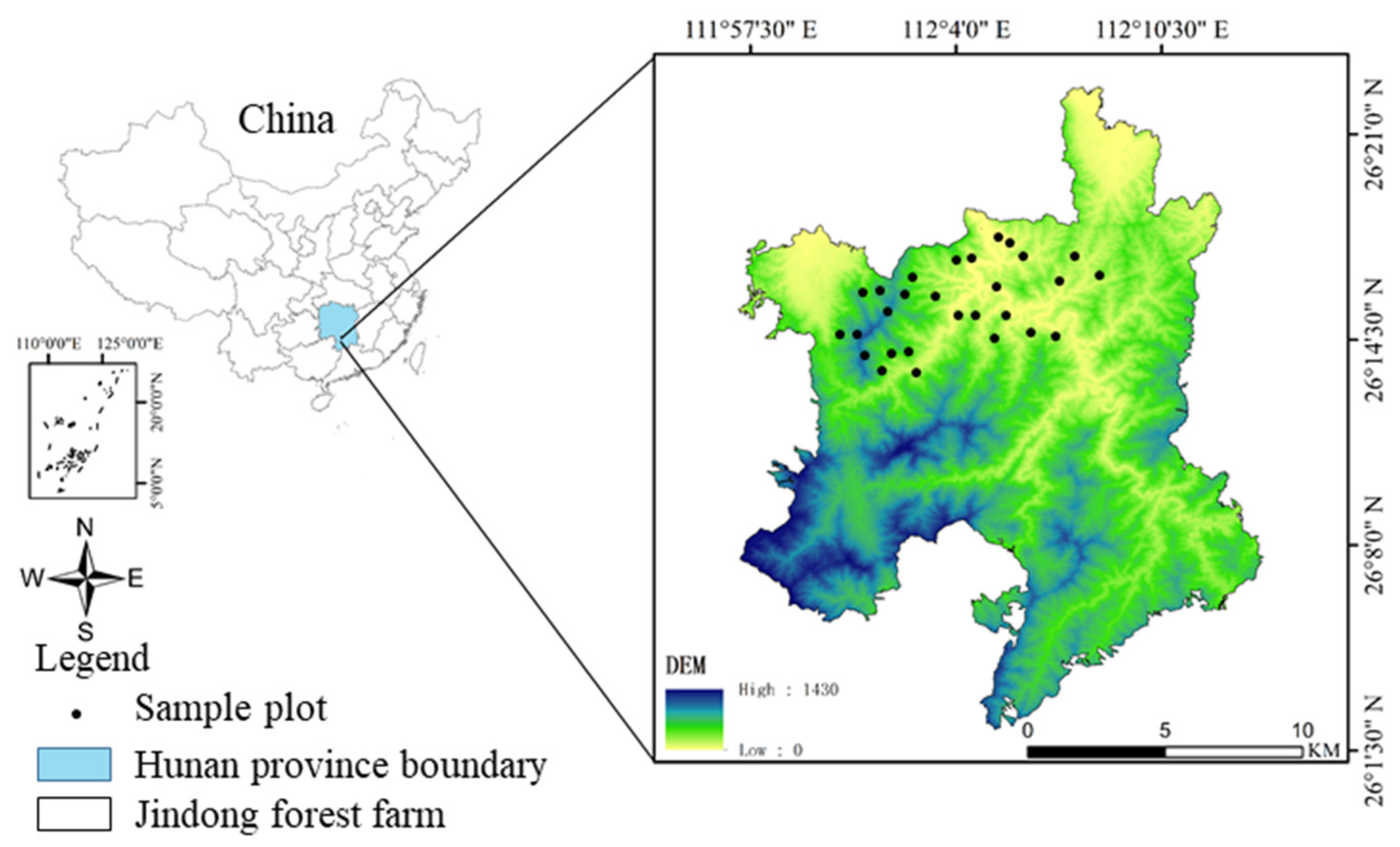 Forests 15 00633 g001