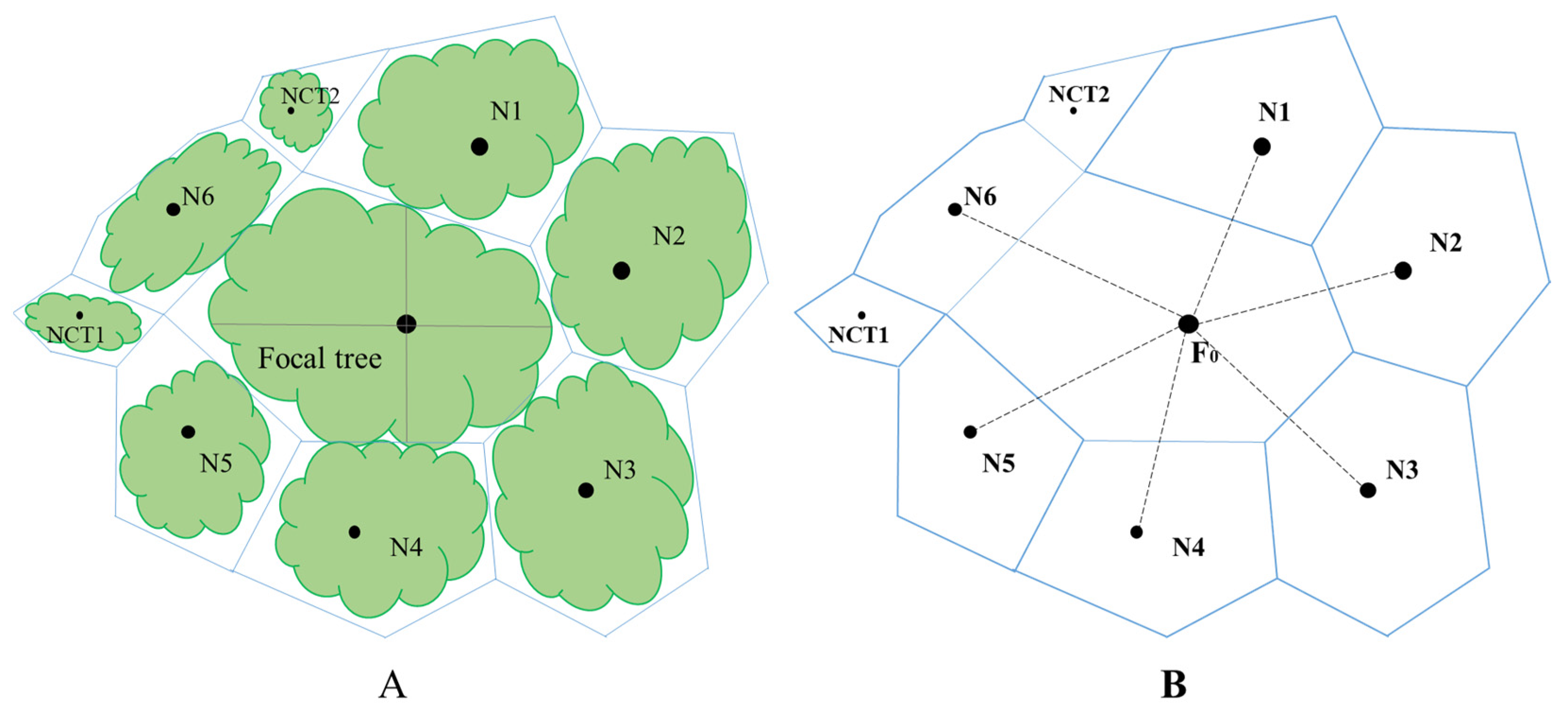 Forests 15 00633 g002