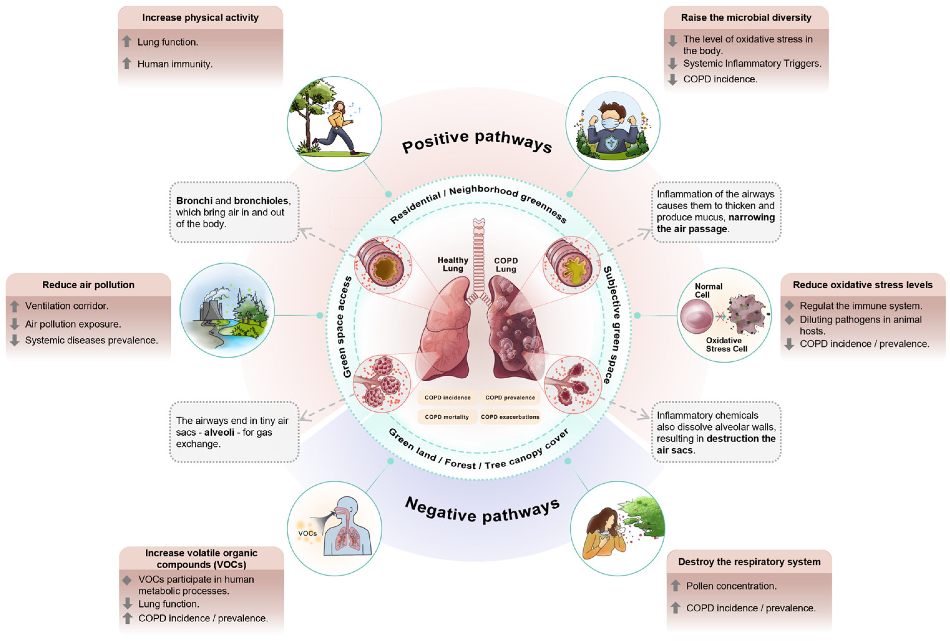 Forests 15 00634 g002