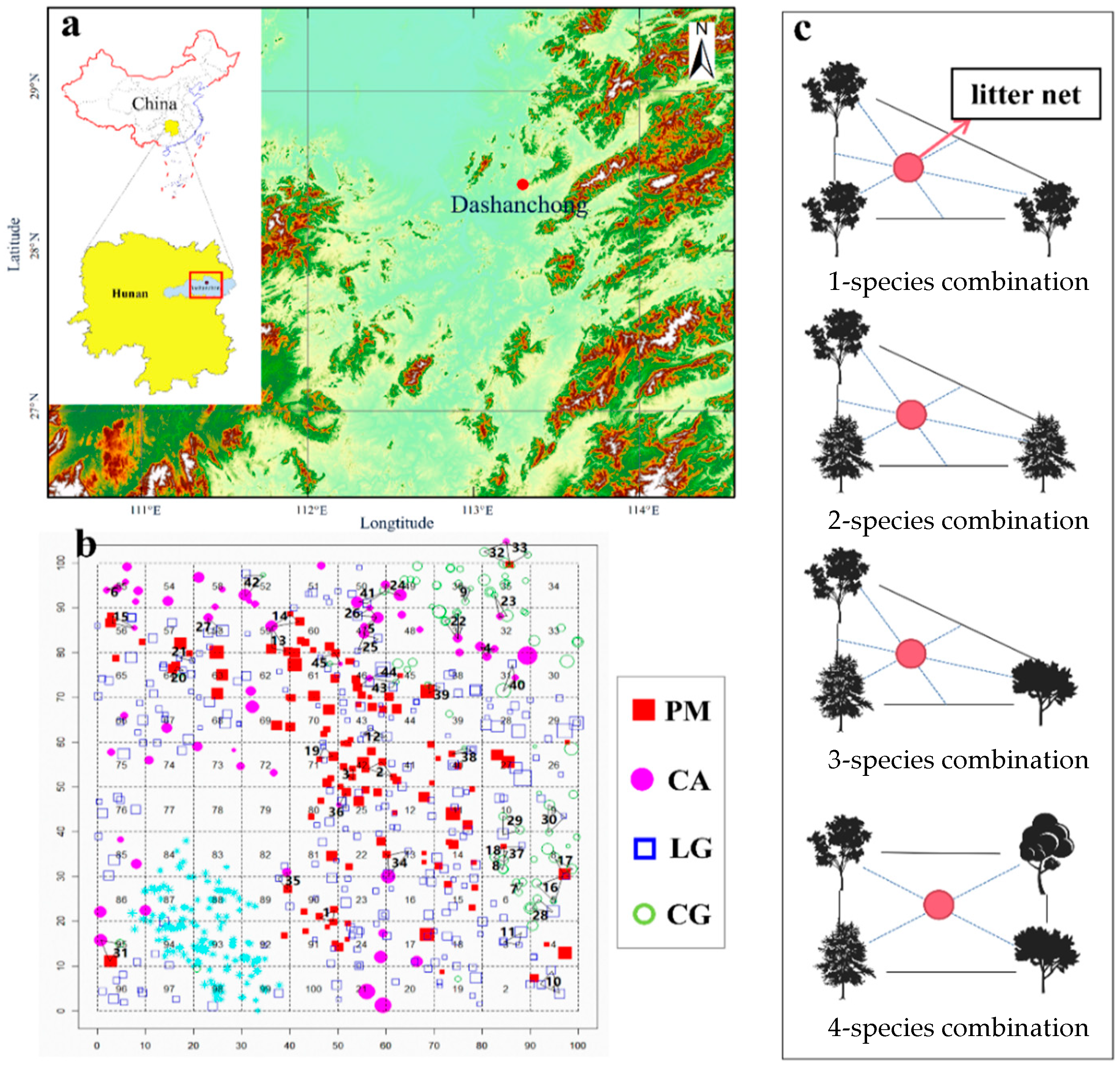Forests 15 00637 g001