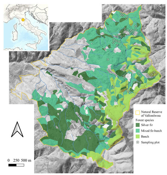Forests 15 00660 g001