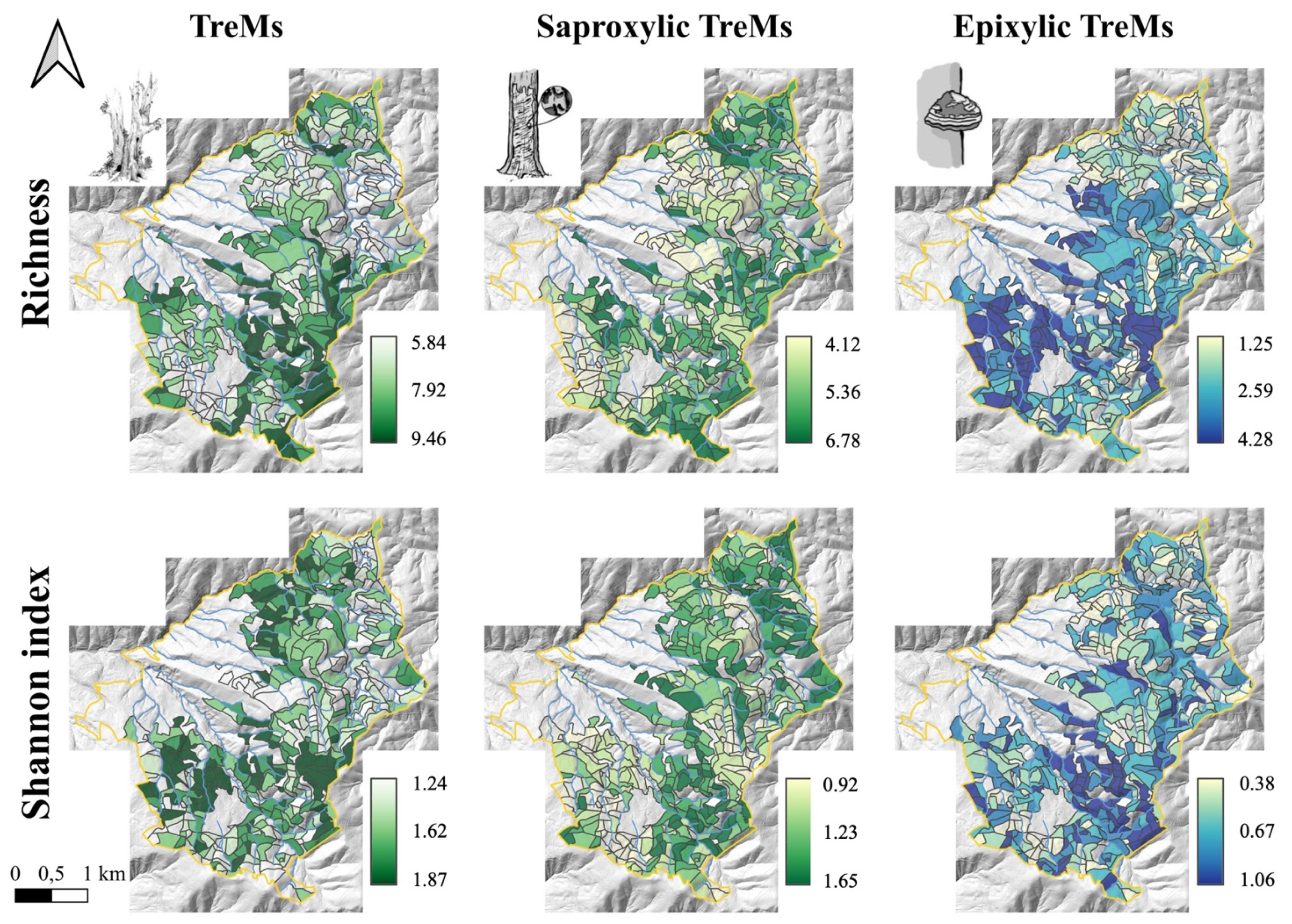 Forests 15 00660 g003