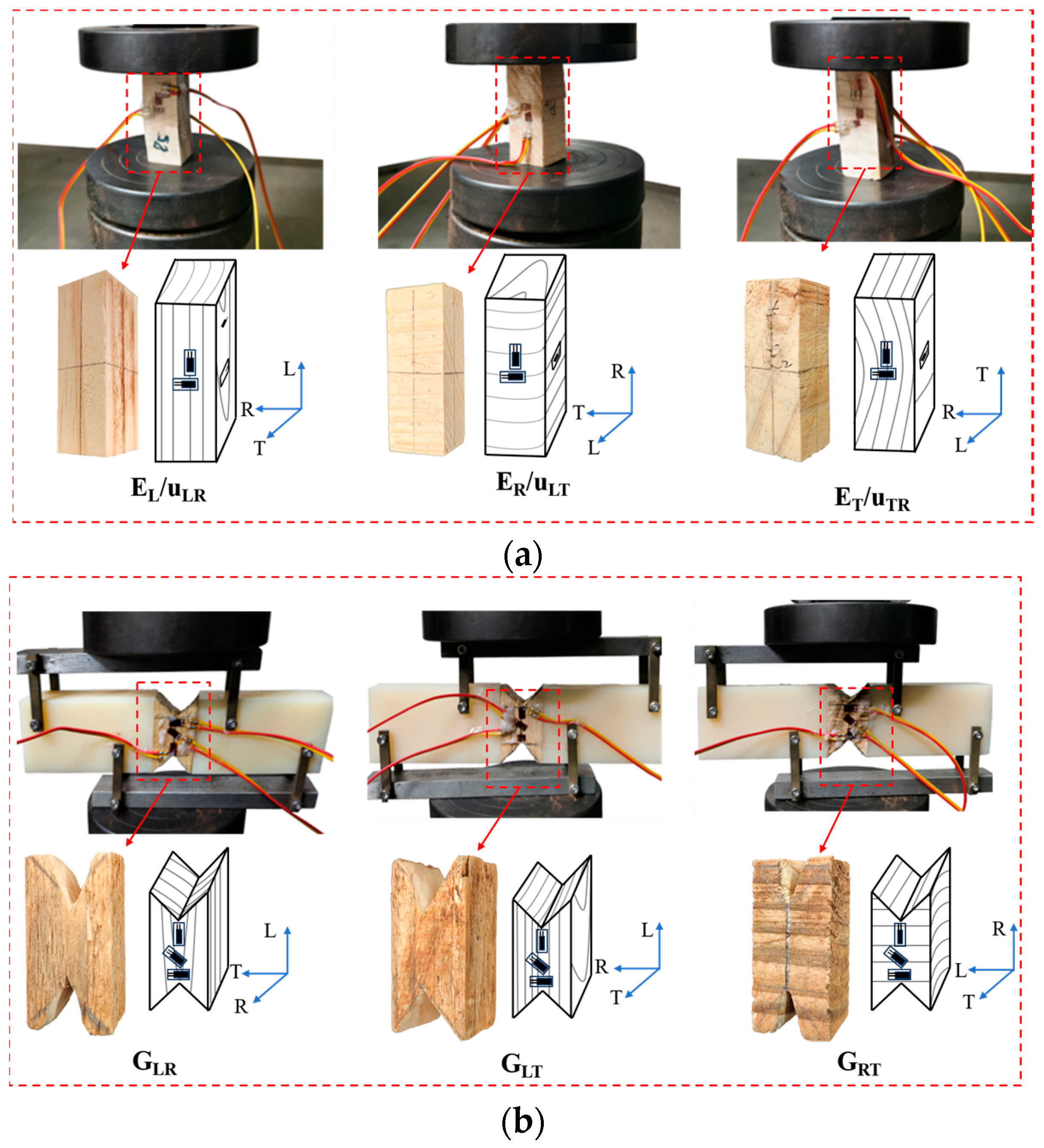 Forests 15 00667 g003