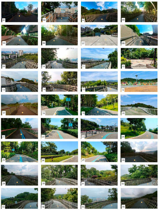 Forests 15 00670 g0a1a