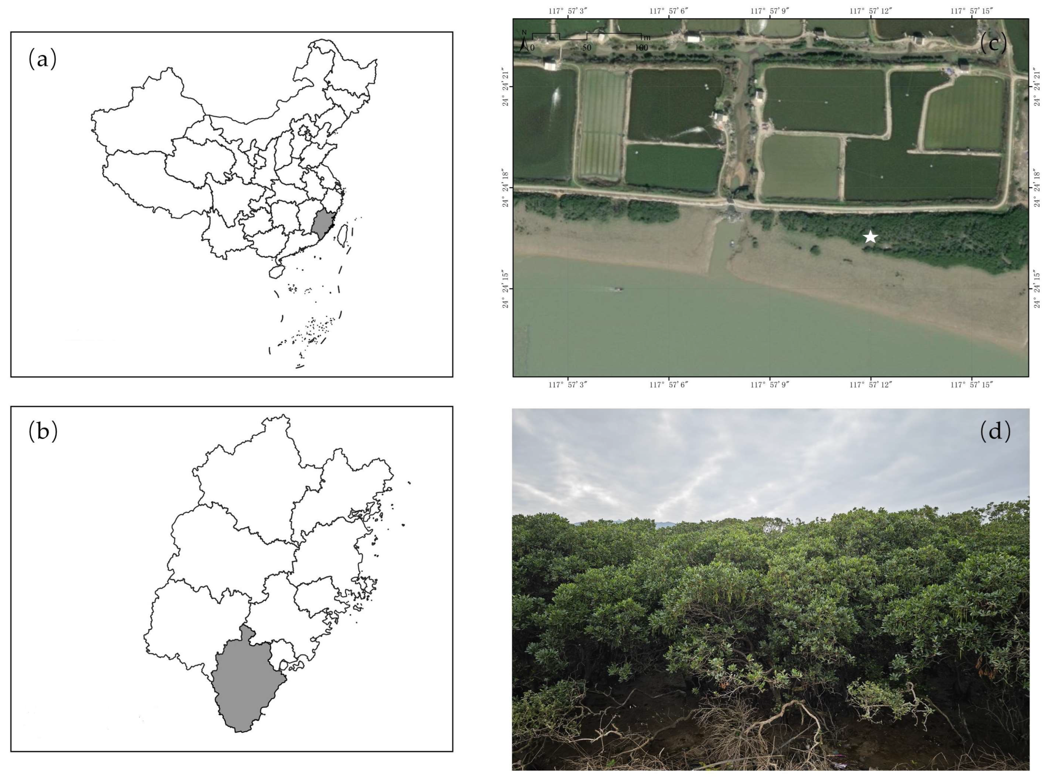 Forests 15 00672 g001 Forests 15 00672 g001