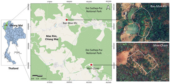 Forests 15 00674 g001
