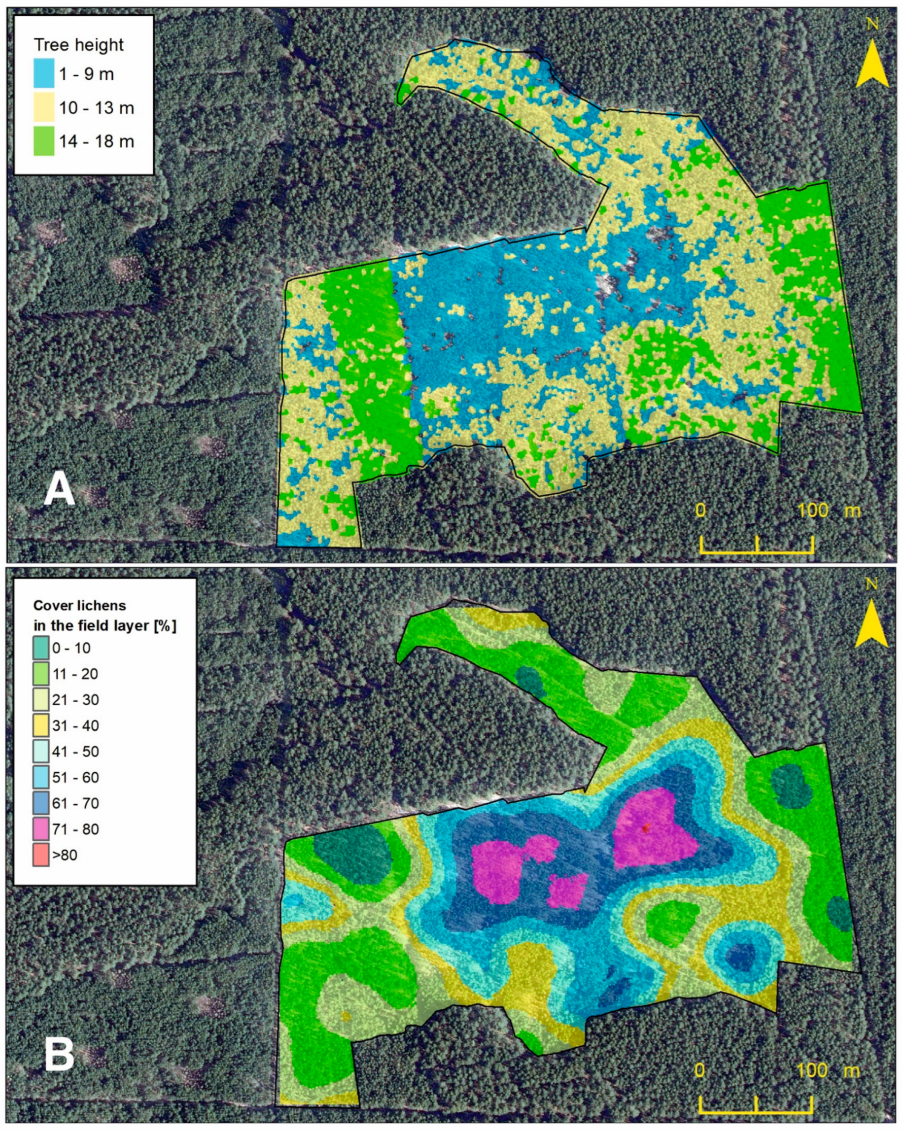 Forests 15 00675 g002