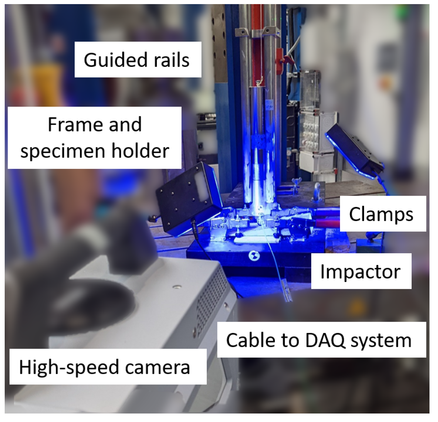 Forests 15 00694 g003