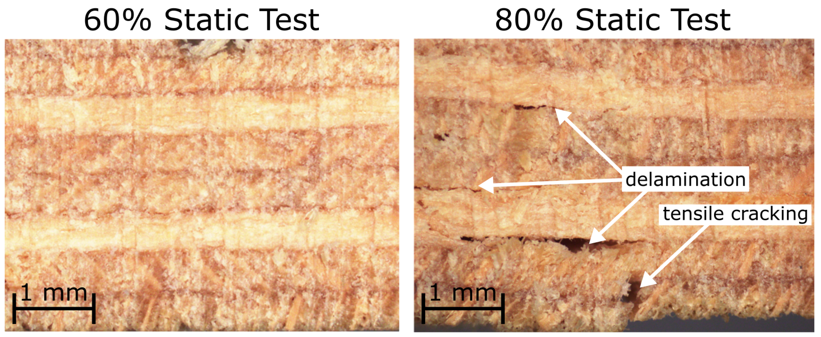Forests 15 00694 g009