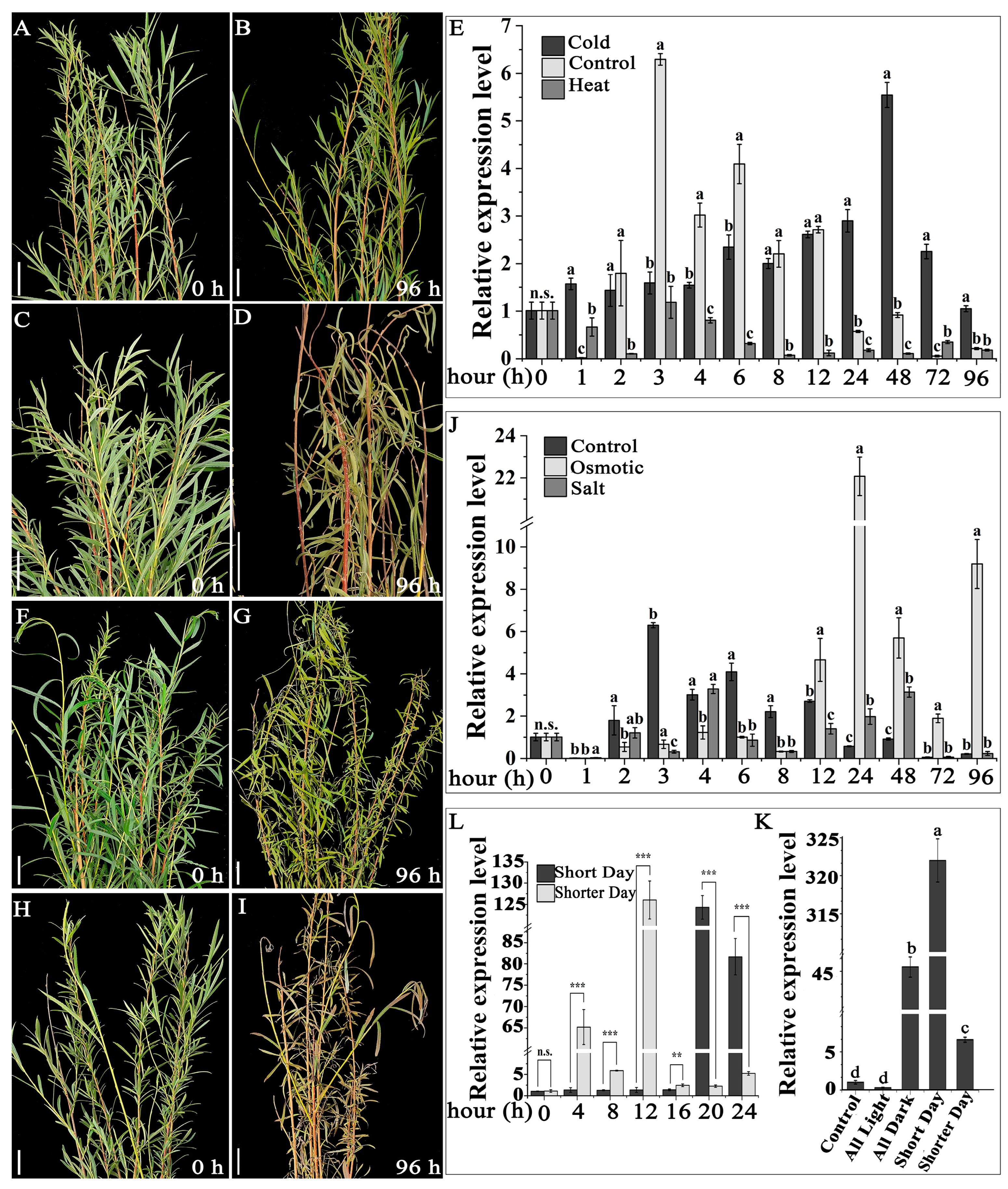 Forests 15 00696 g004 Forests 15 00696 g004