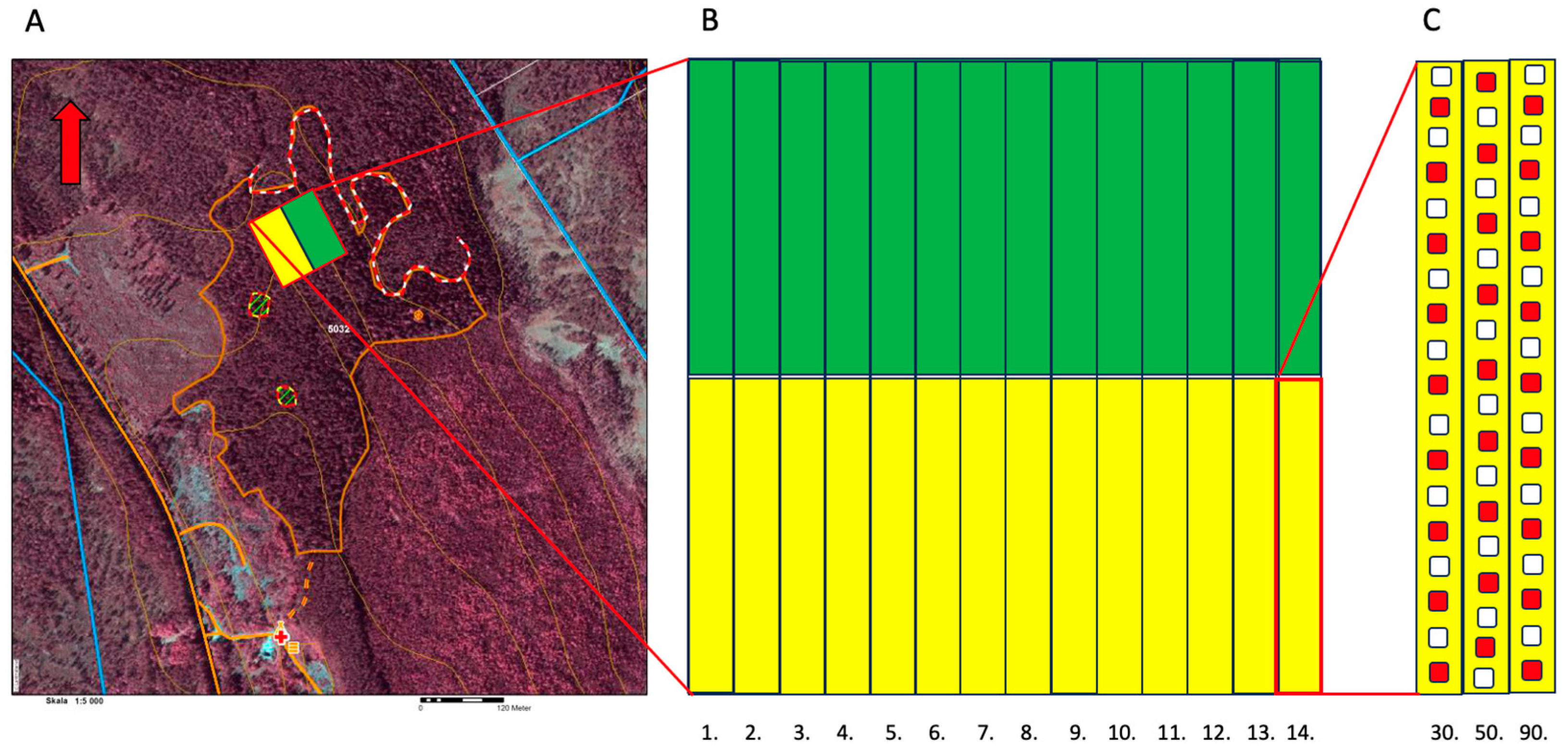 Forests 15 00703 g002