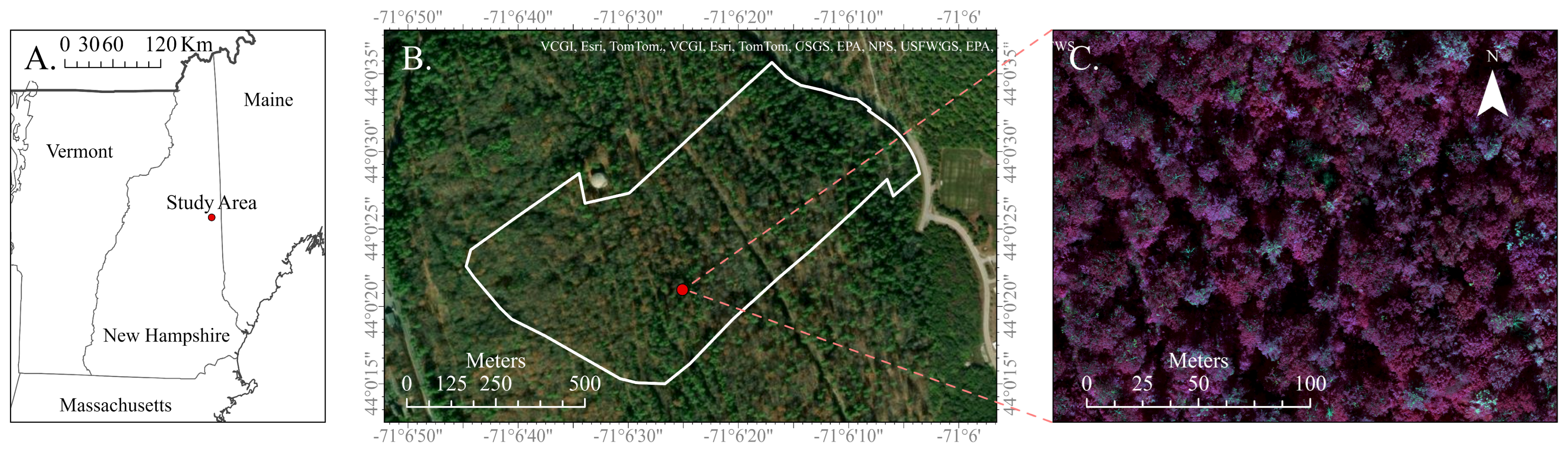 Forests 15 00706 g001 Forests 15 00706 g001