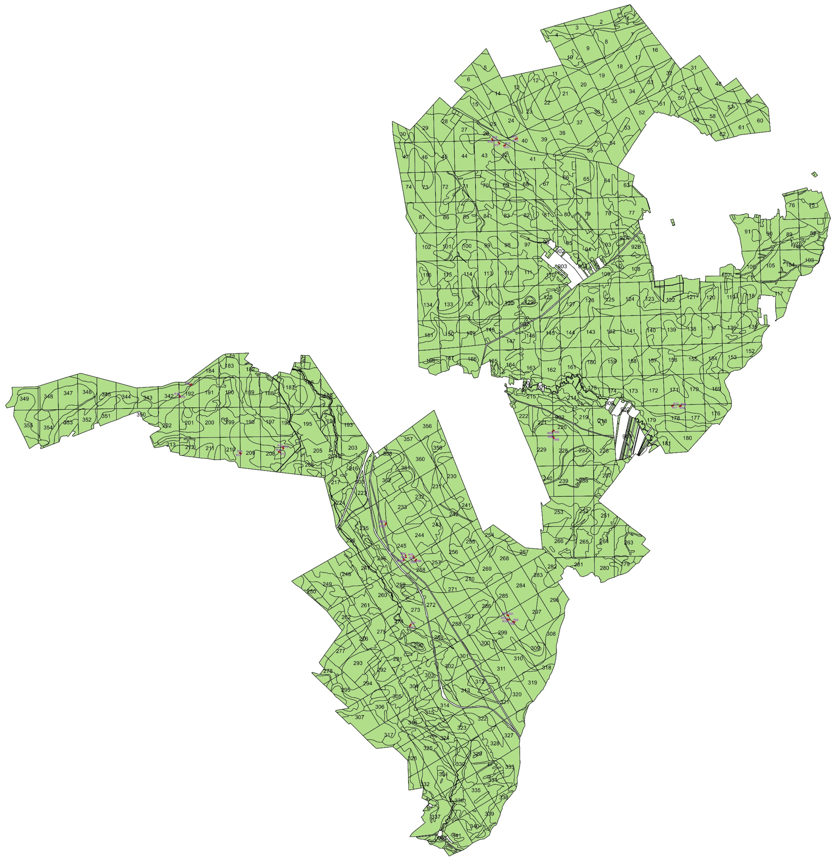 Forests 15 00708 g001