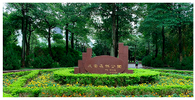 Forests 15 00710 i003