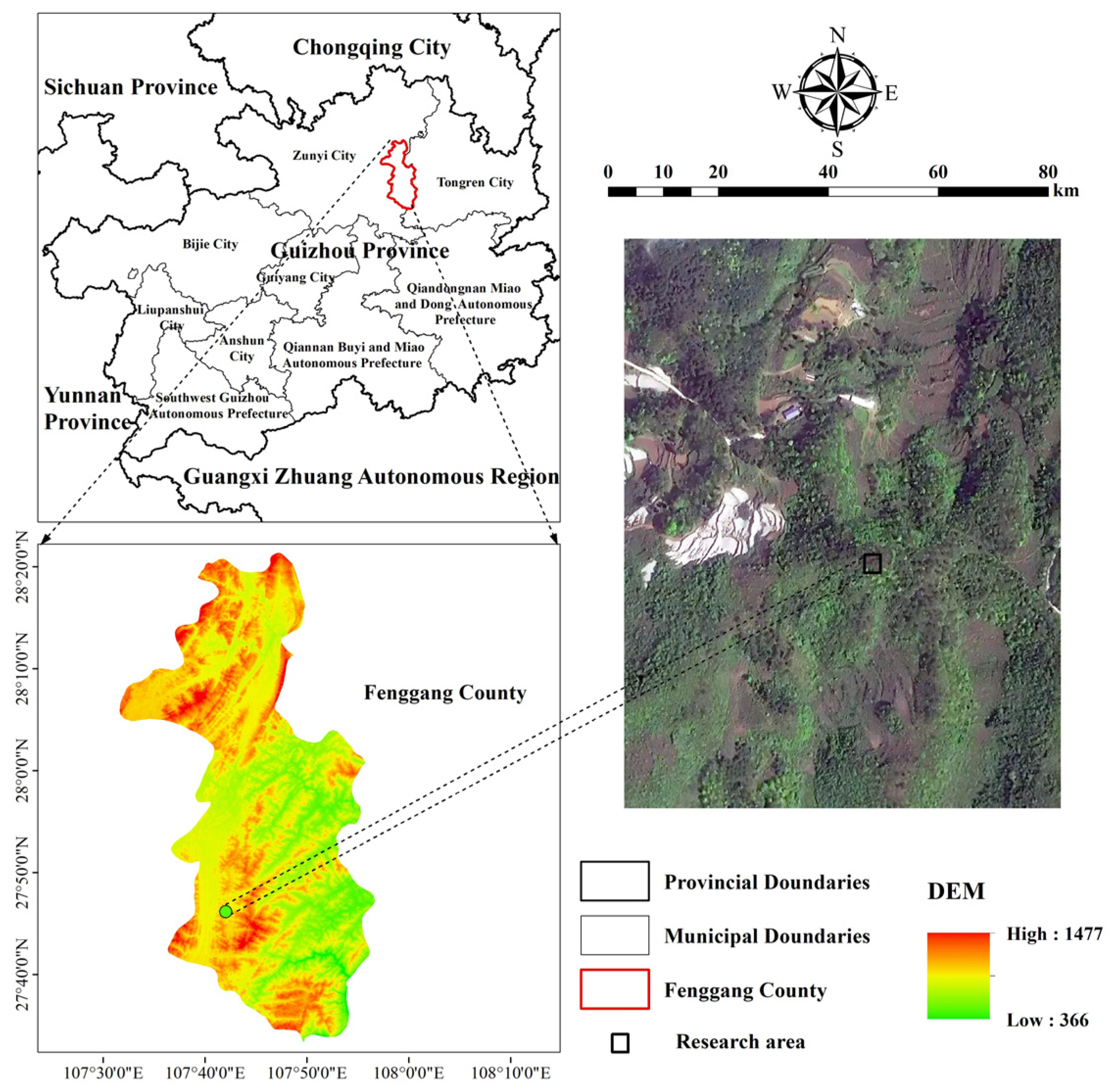 Forests 15 00726 g001