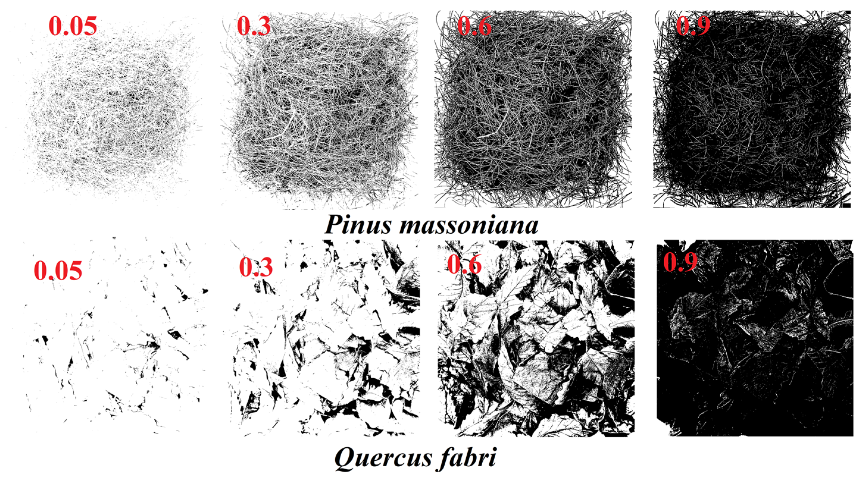 Forests 15 00726 g003