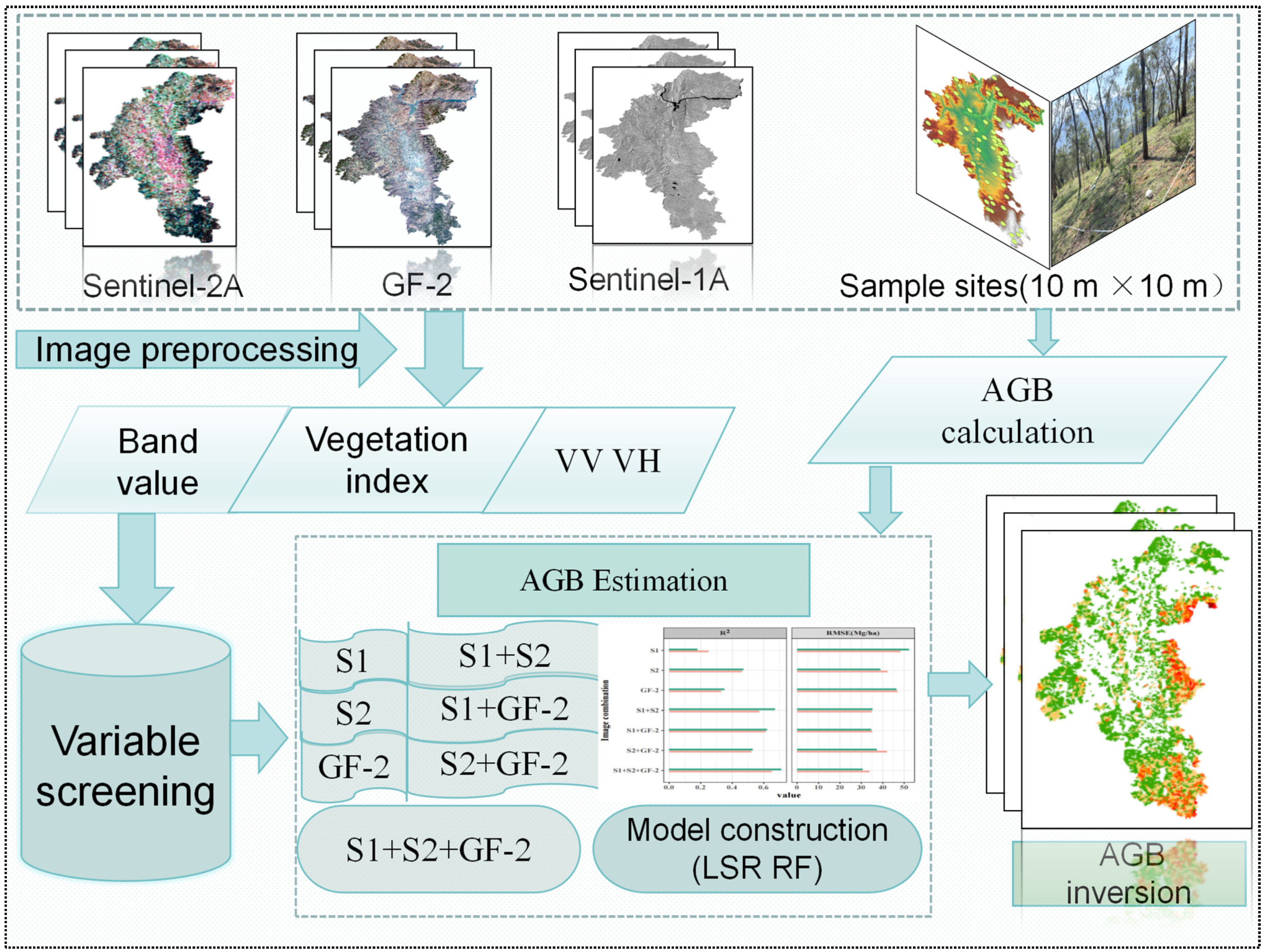 Forests 15 00731 g001