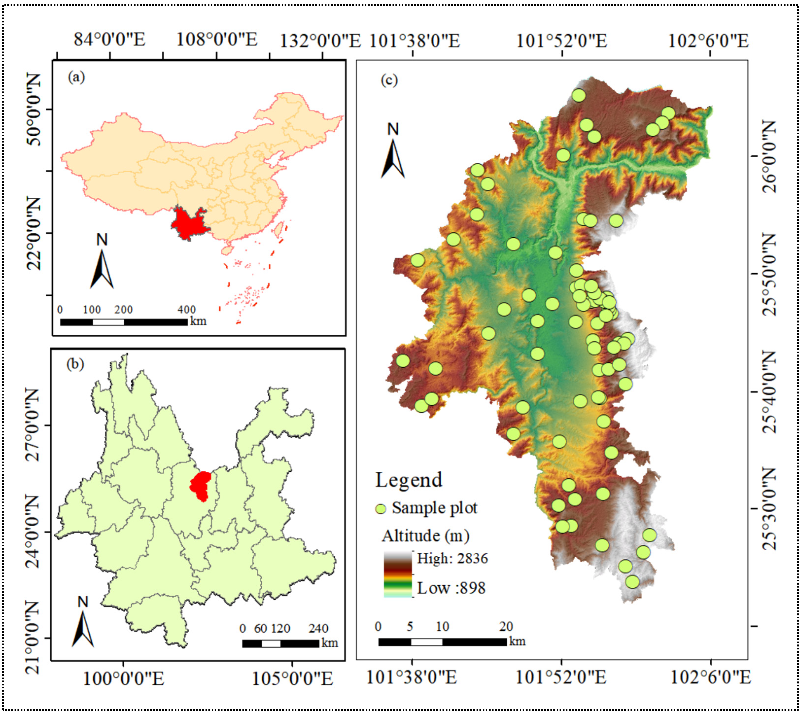 Forests 15 00731 g002