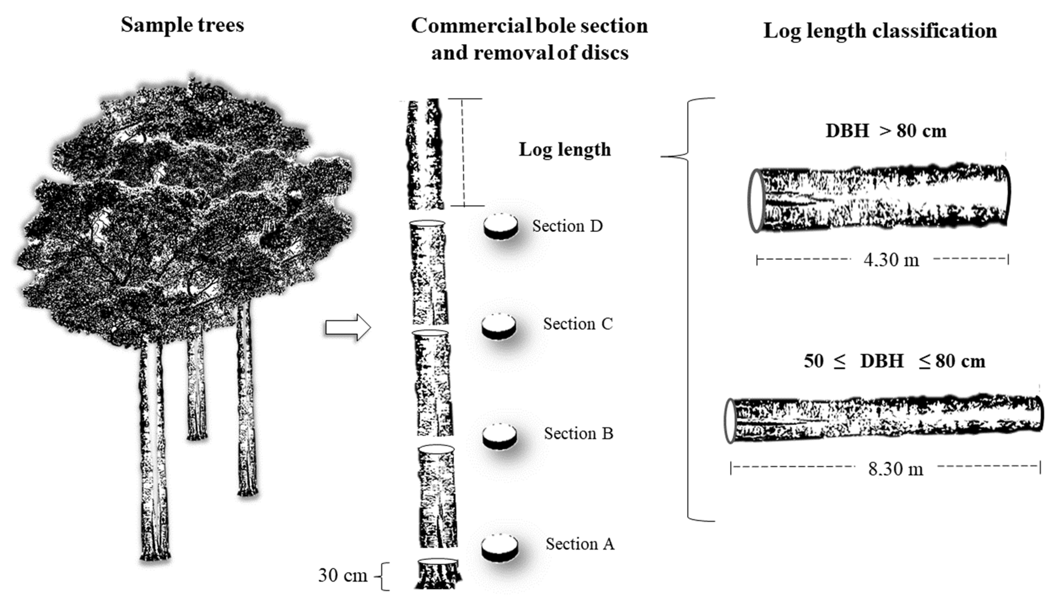Forests 15 00734 g002