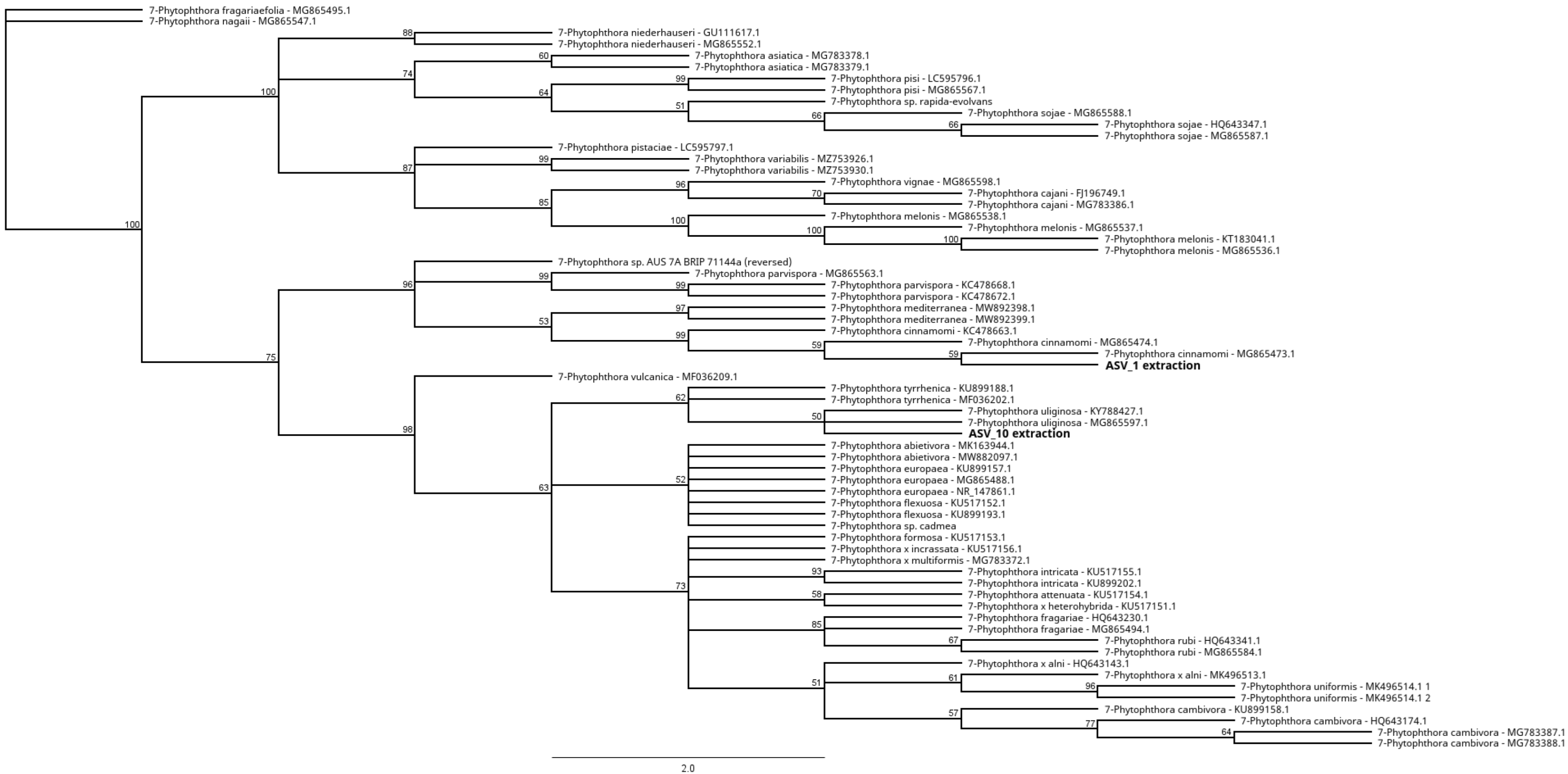 Forests 15 00735 g003 Forests 15 00735 g003
