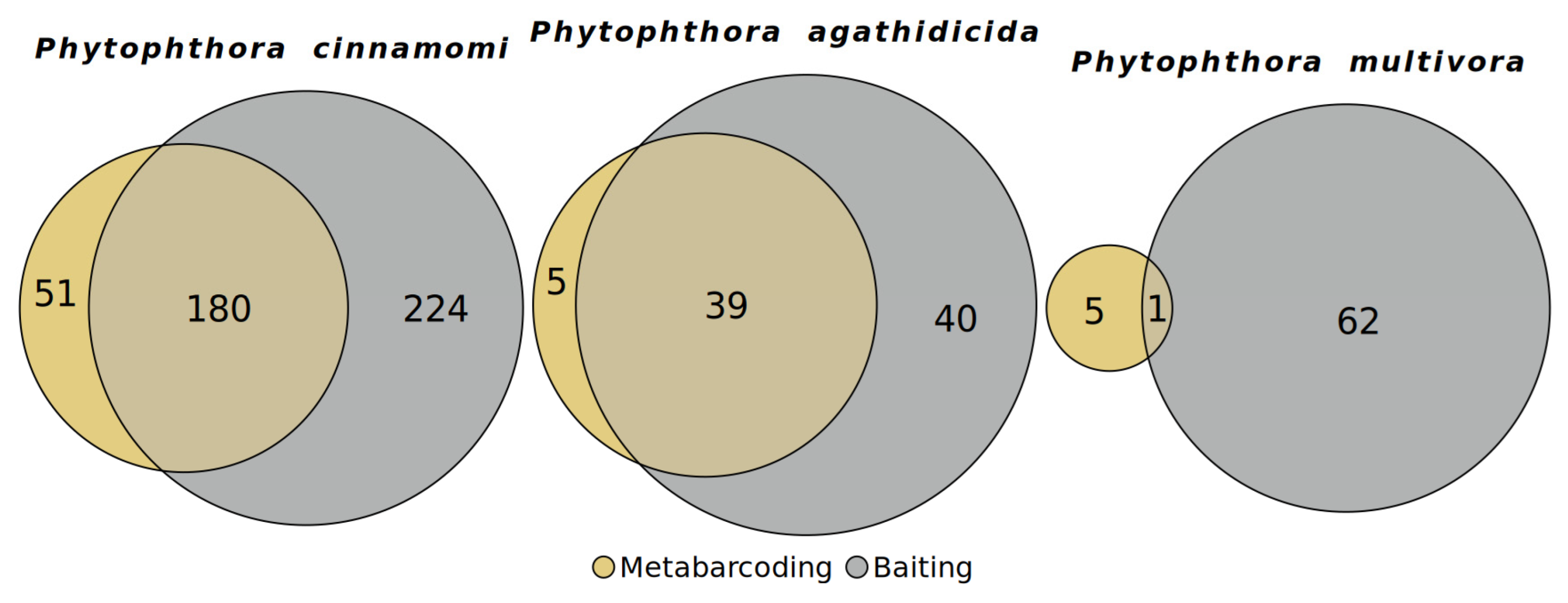 Forests 15 00735 g004 Forests 15 00735 g004