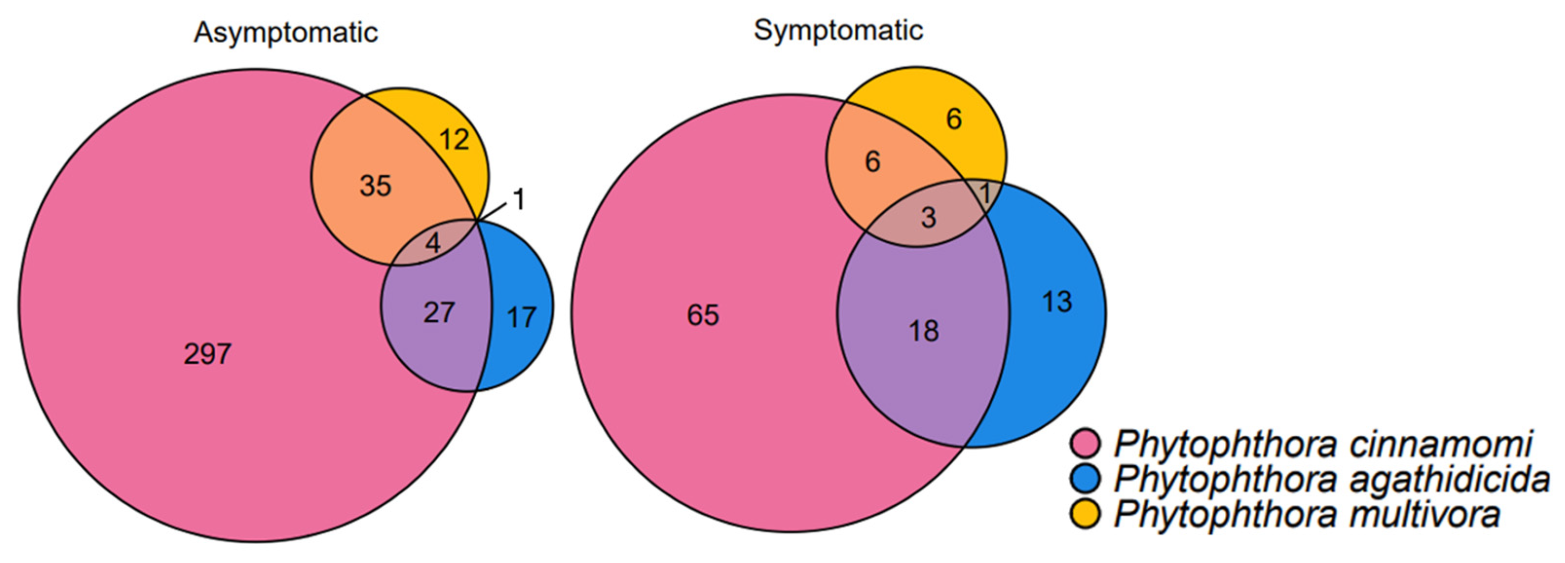 Forests 15 00735 g006 Forests 15 00735 g006