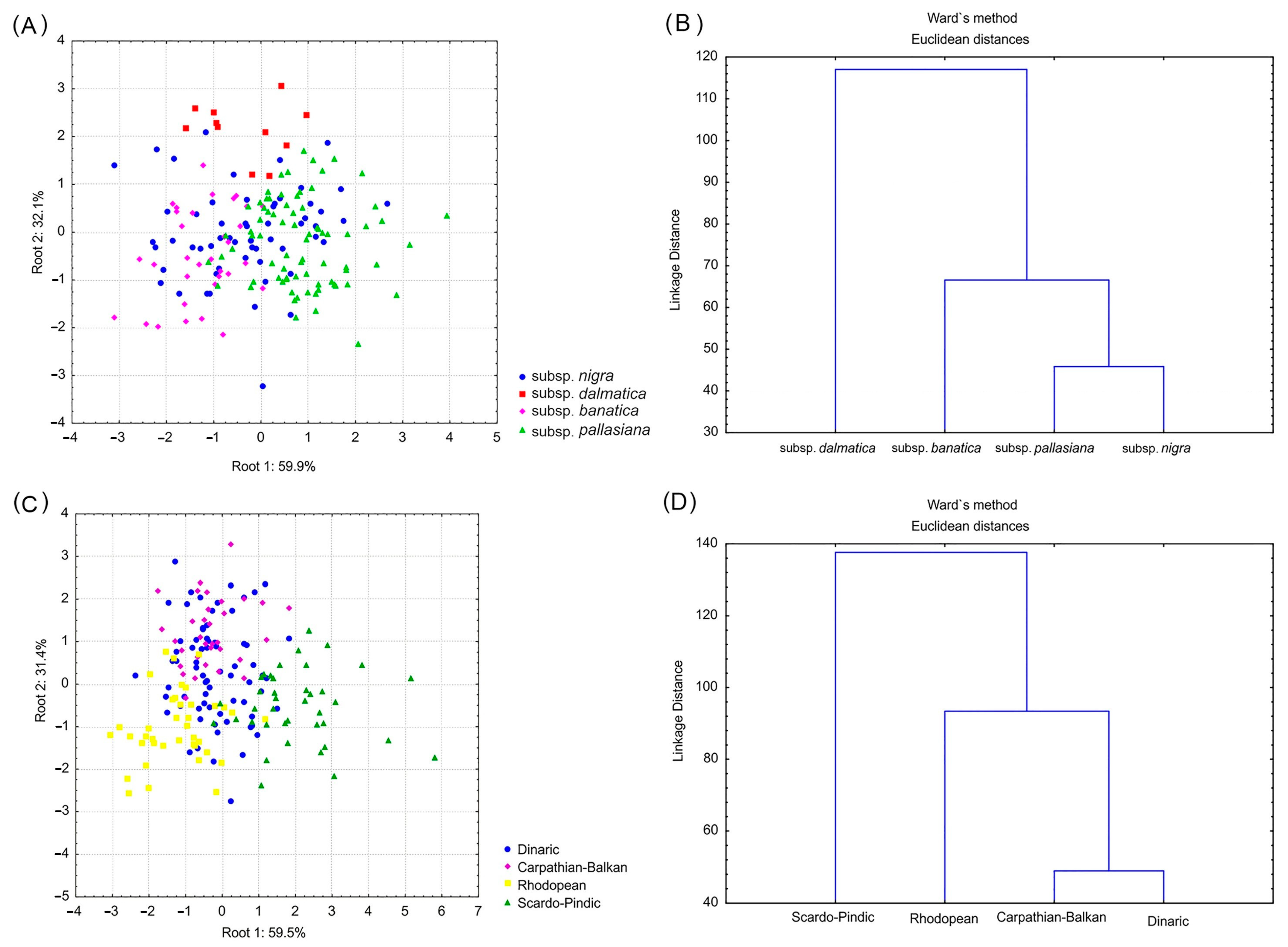 Forests 15 00739 g002