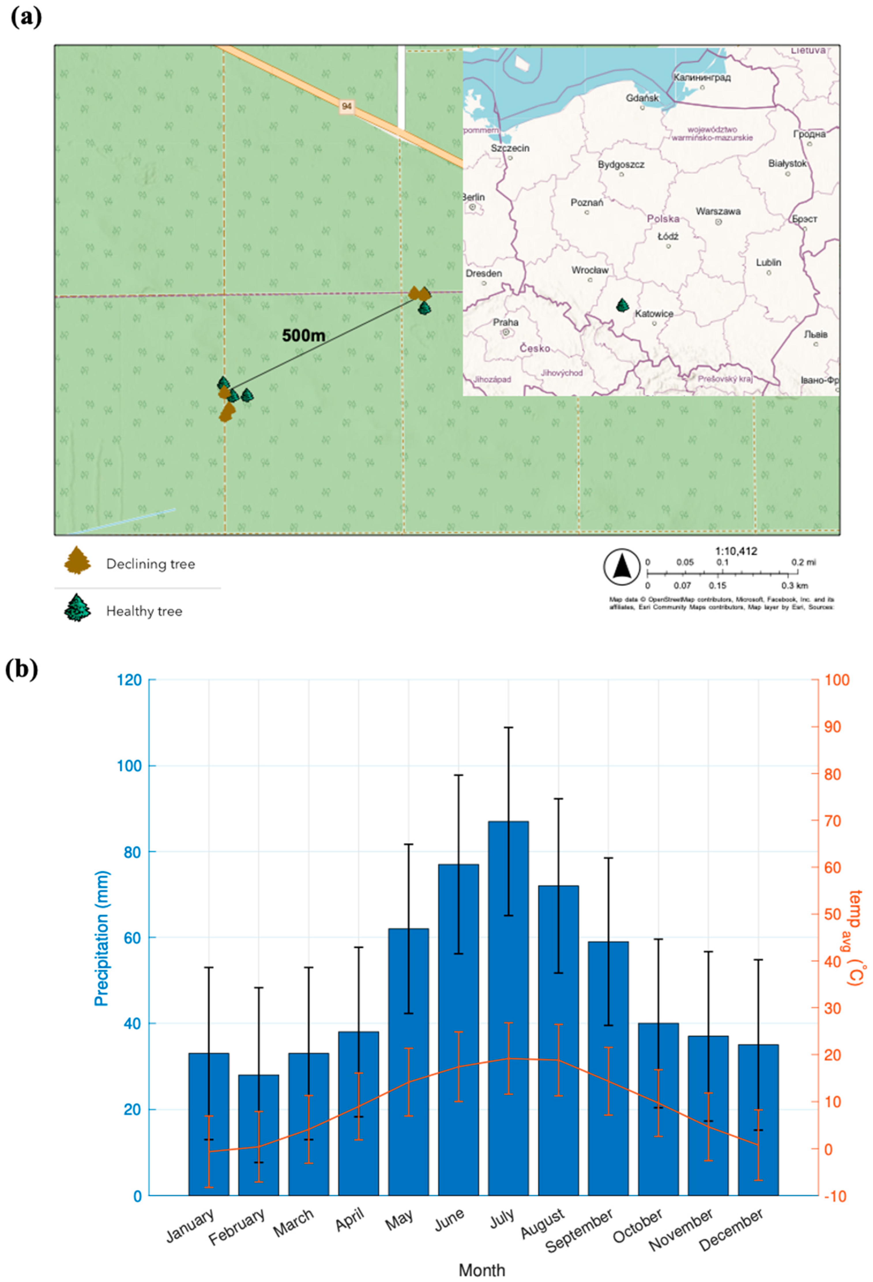 Forests 15 00741 g001