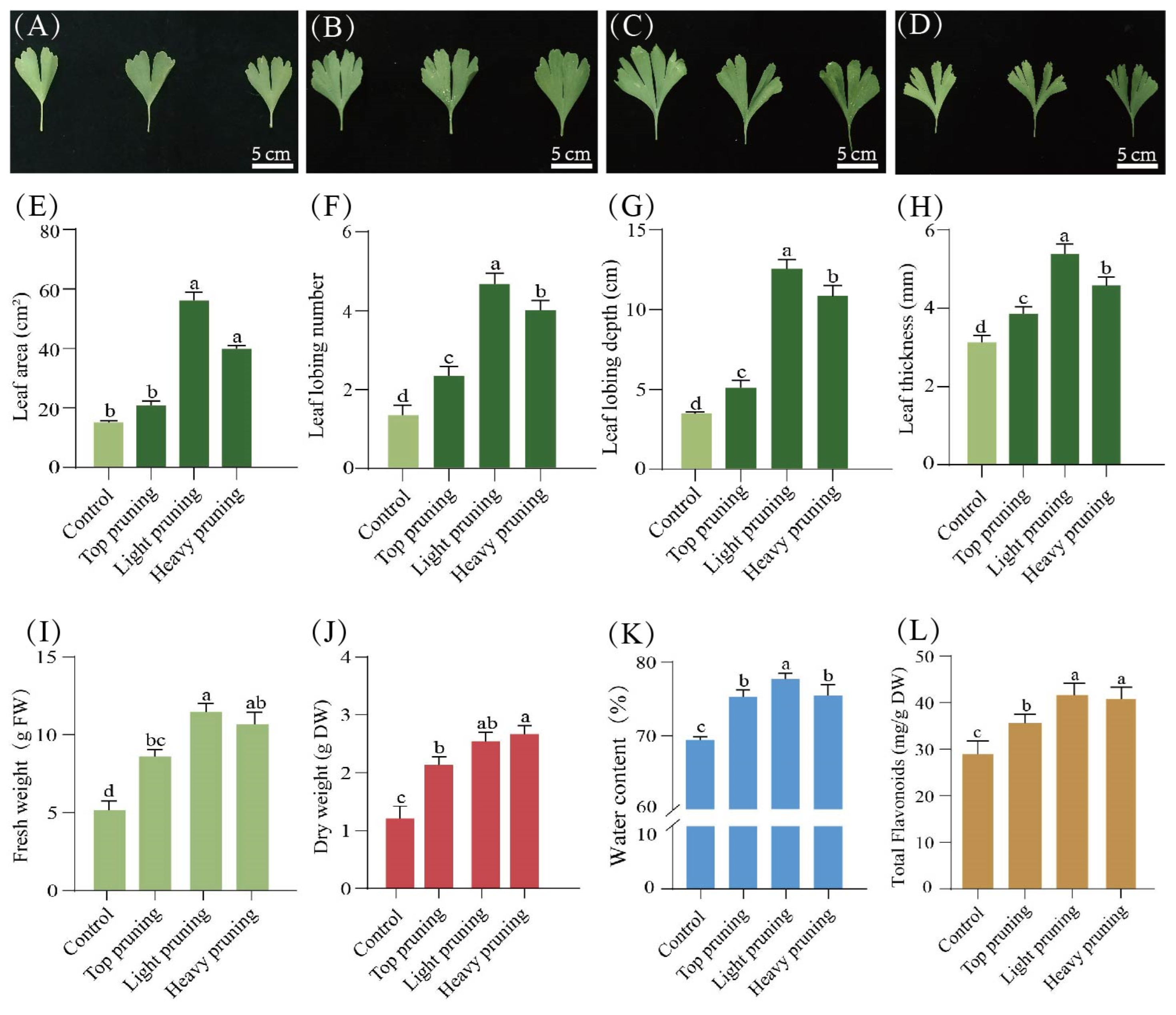 Forests 15 00761 g003 Forests 15 00761 g003