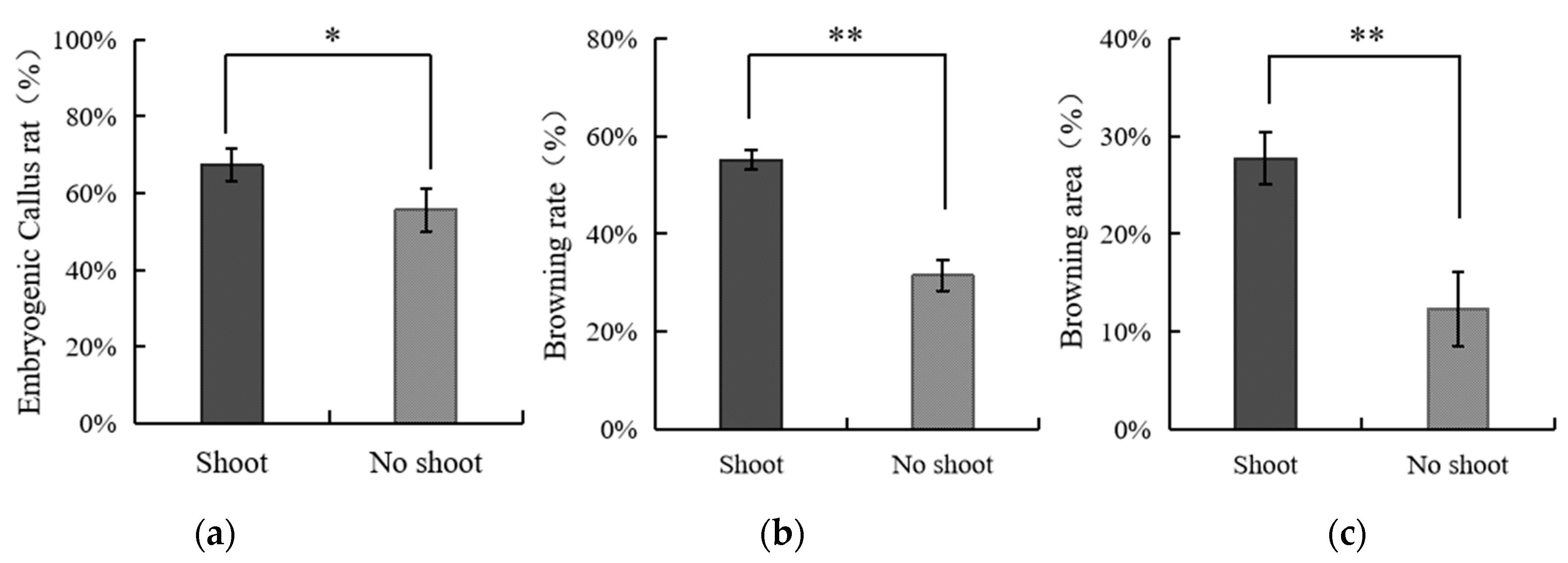 Forests 15 00764 g007